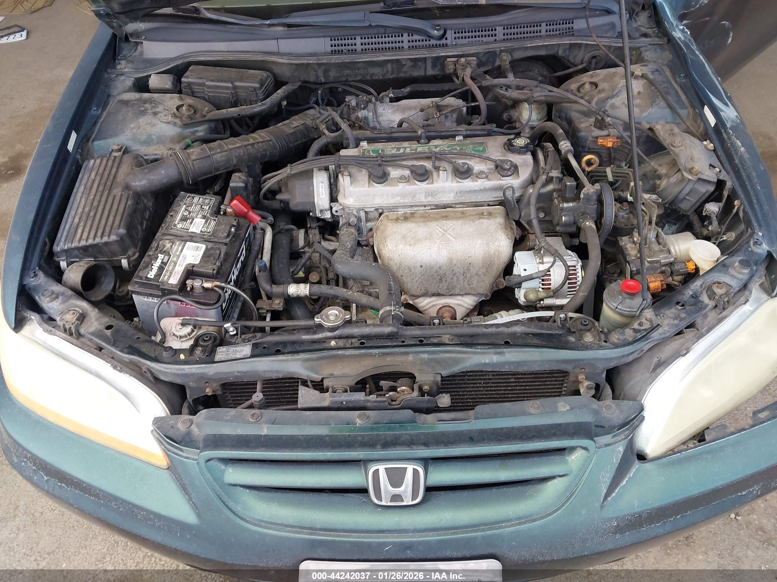 HONDA ACCORD image 10