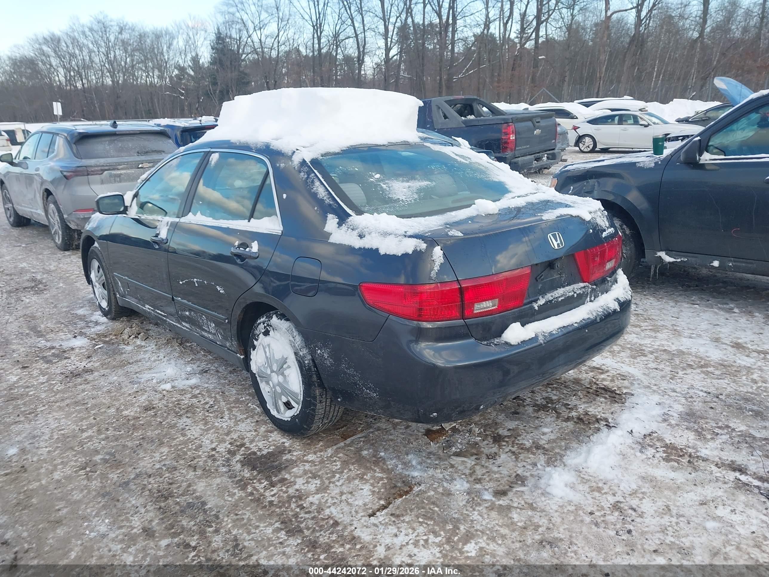 HONDA ACCORD image 3