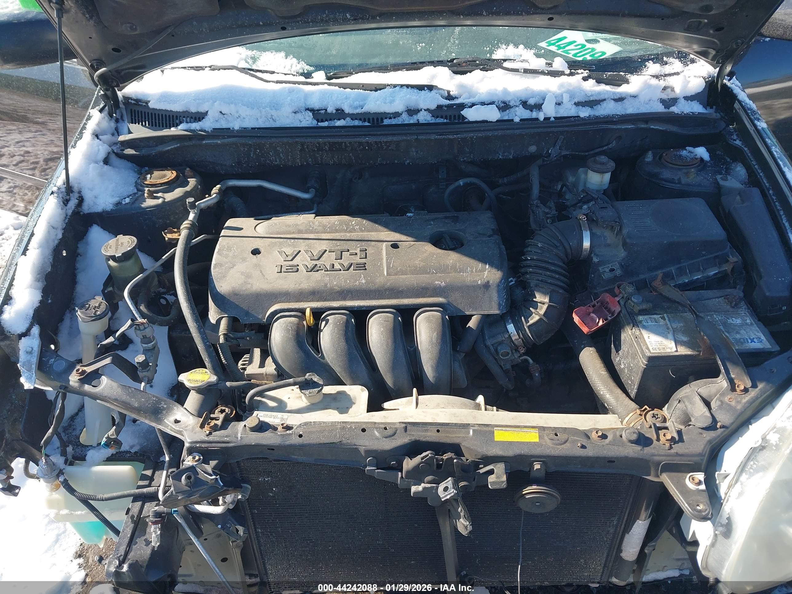 TOYOTA COROLLA image 10
