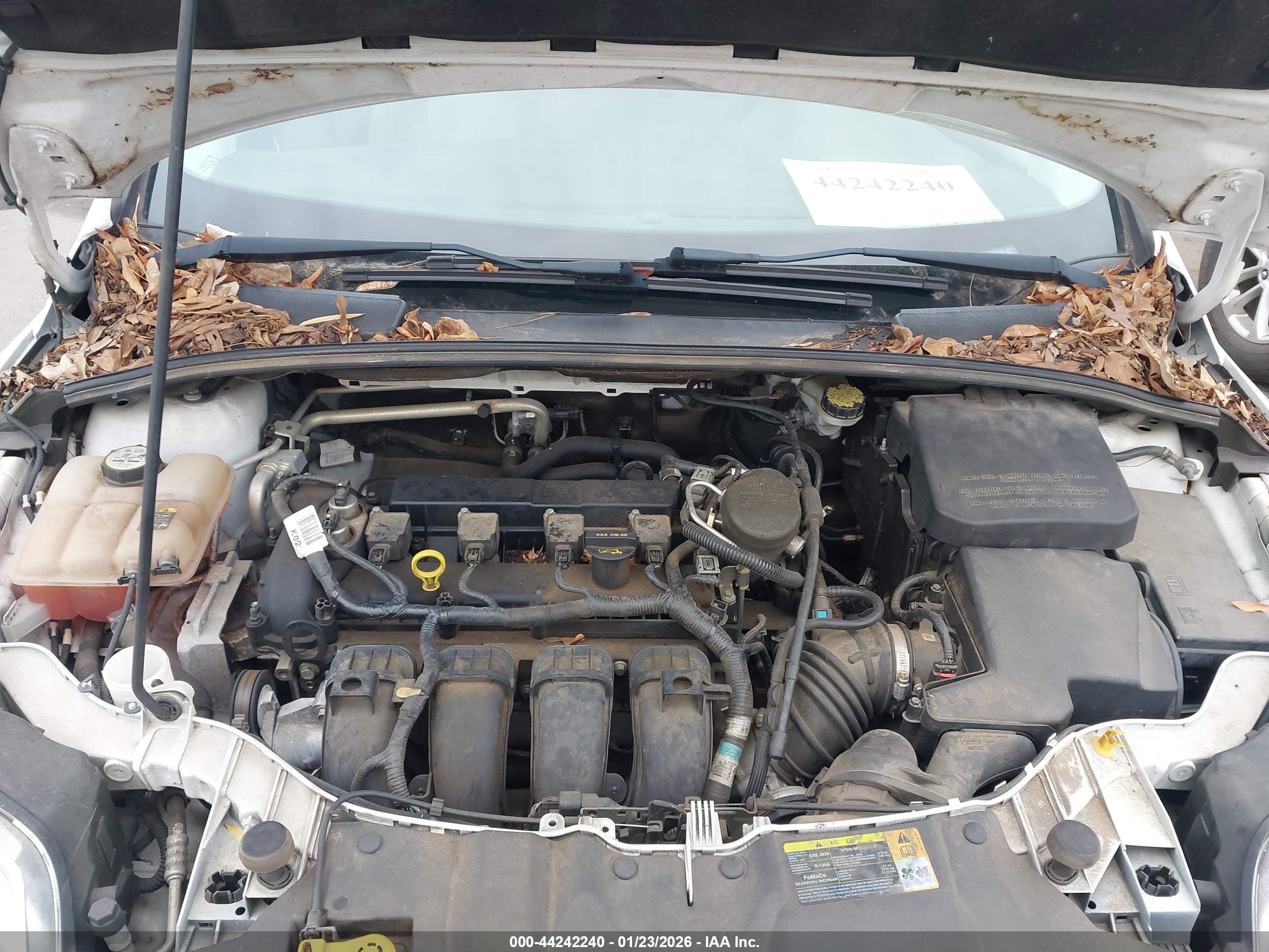 FORD FOCUS image 10