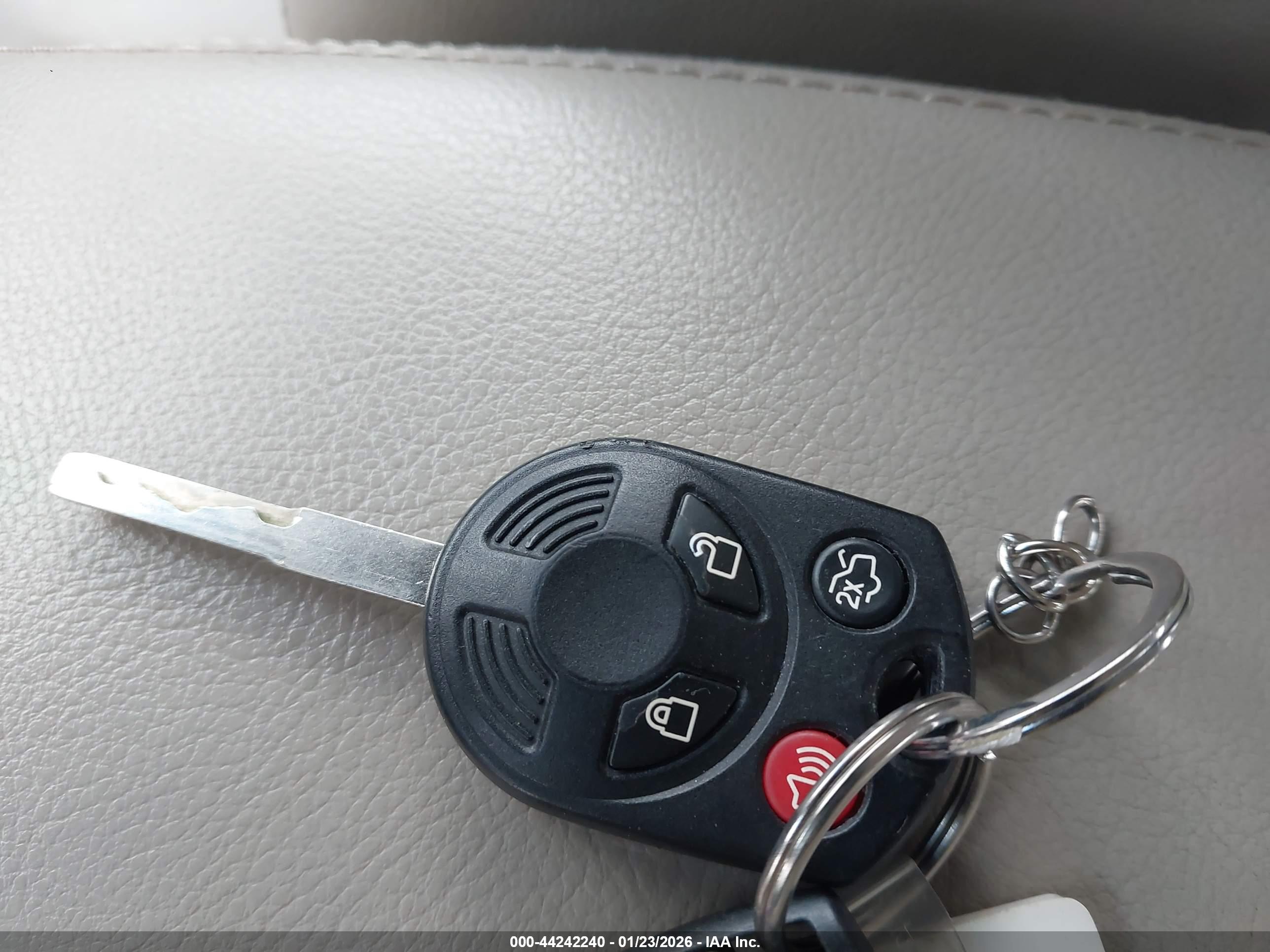 FORD FOCUS image 11