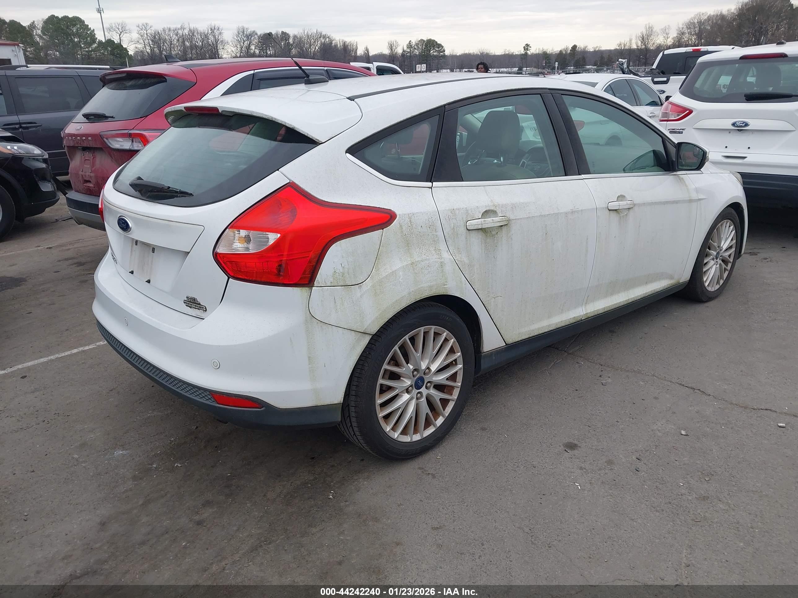 FORD FOCUS image 4