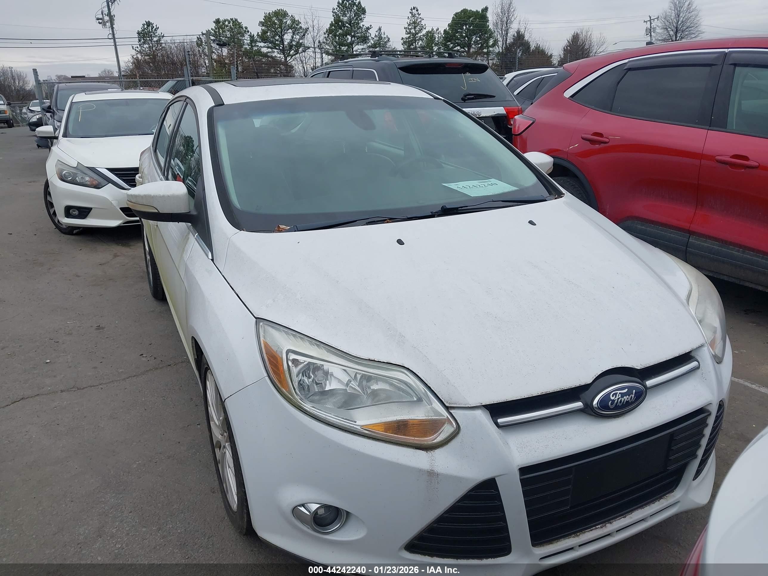 FORD FOCUS image 6