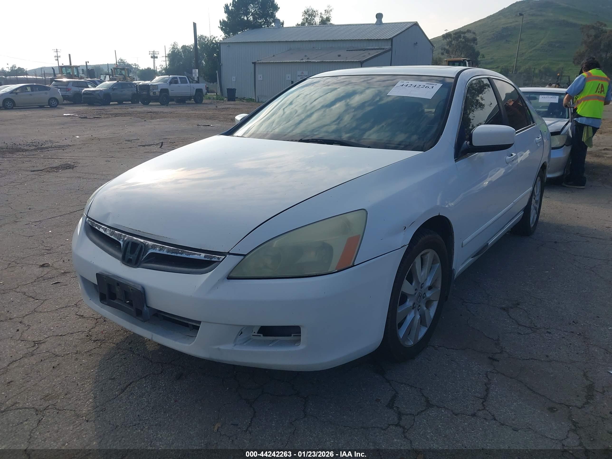 HONDA ACCORD image 2