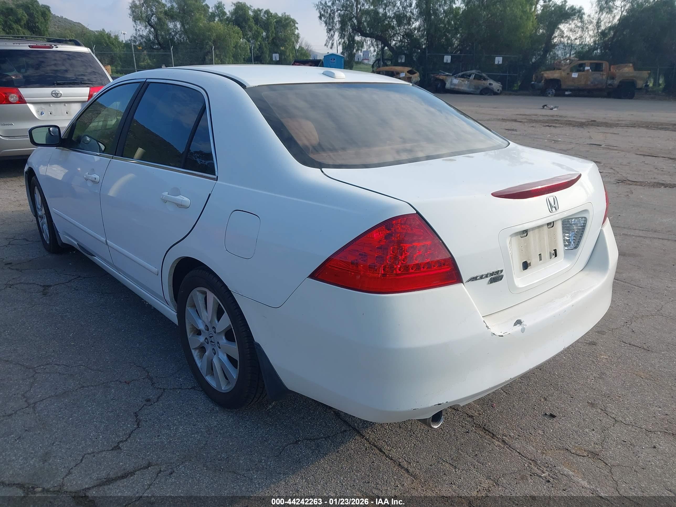 HONDA ACCORD image 3