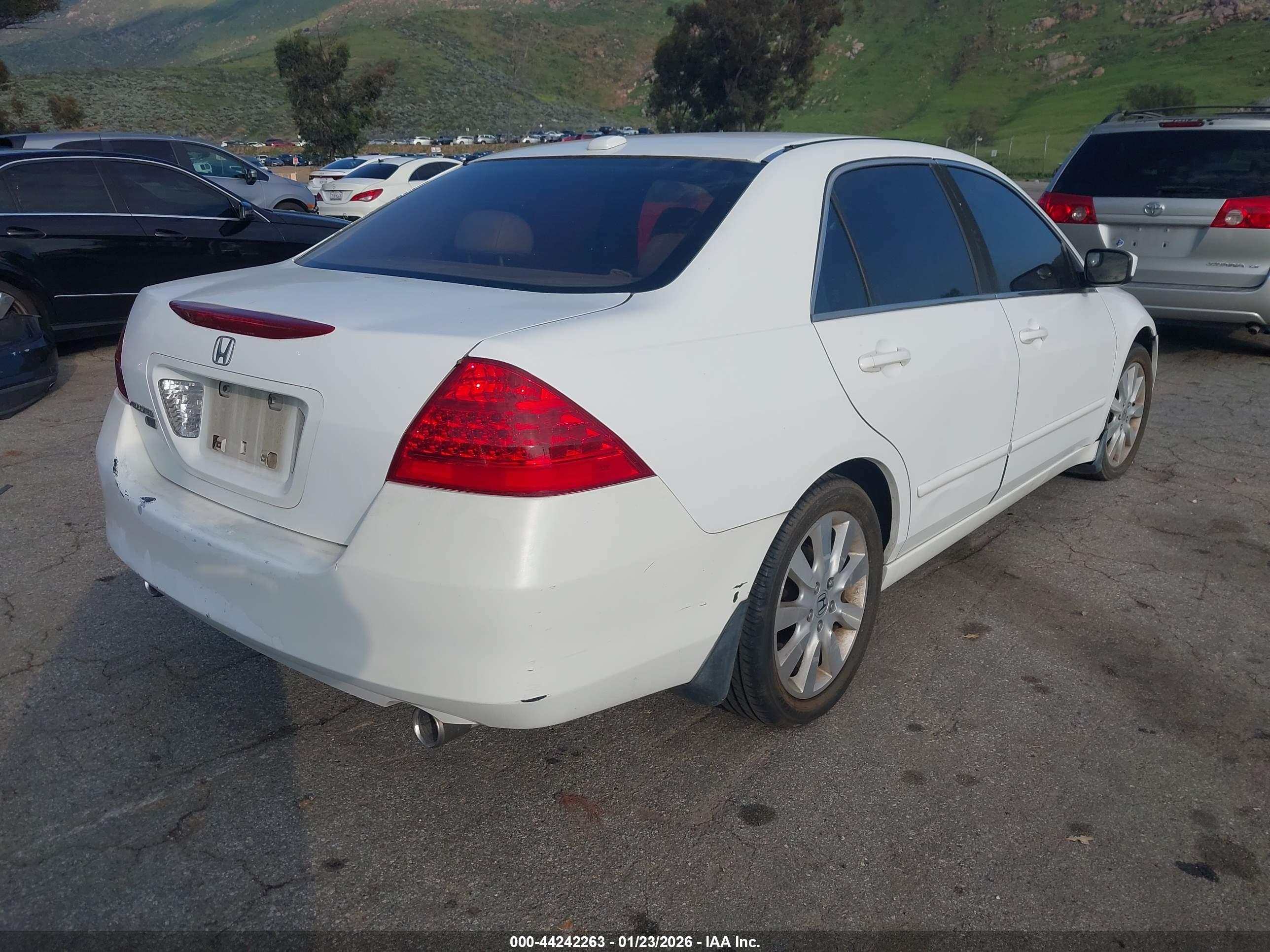 HONDA ACCORD image 4