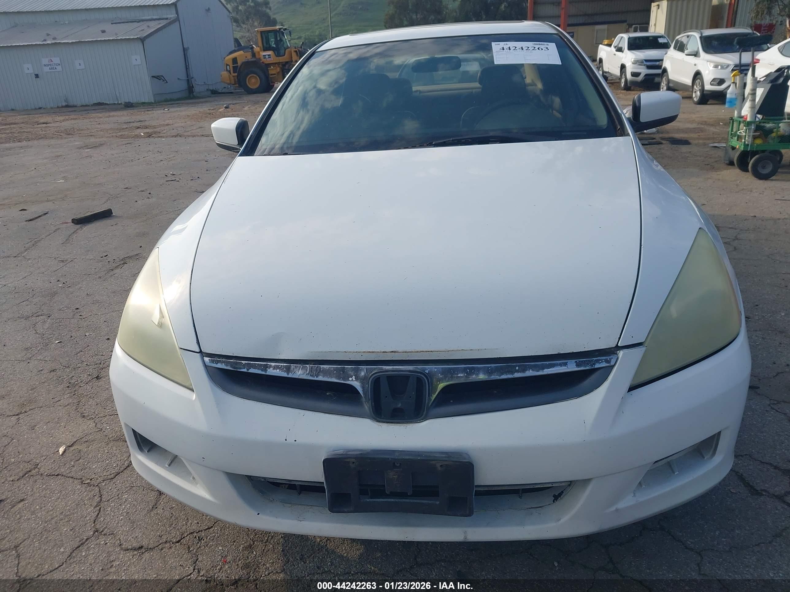 HONDA ACCORD image 6