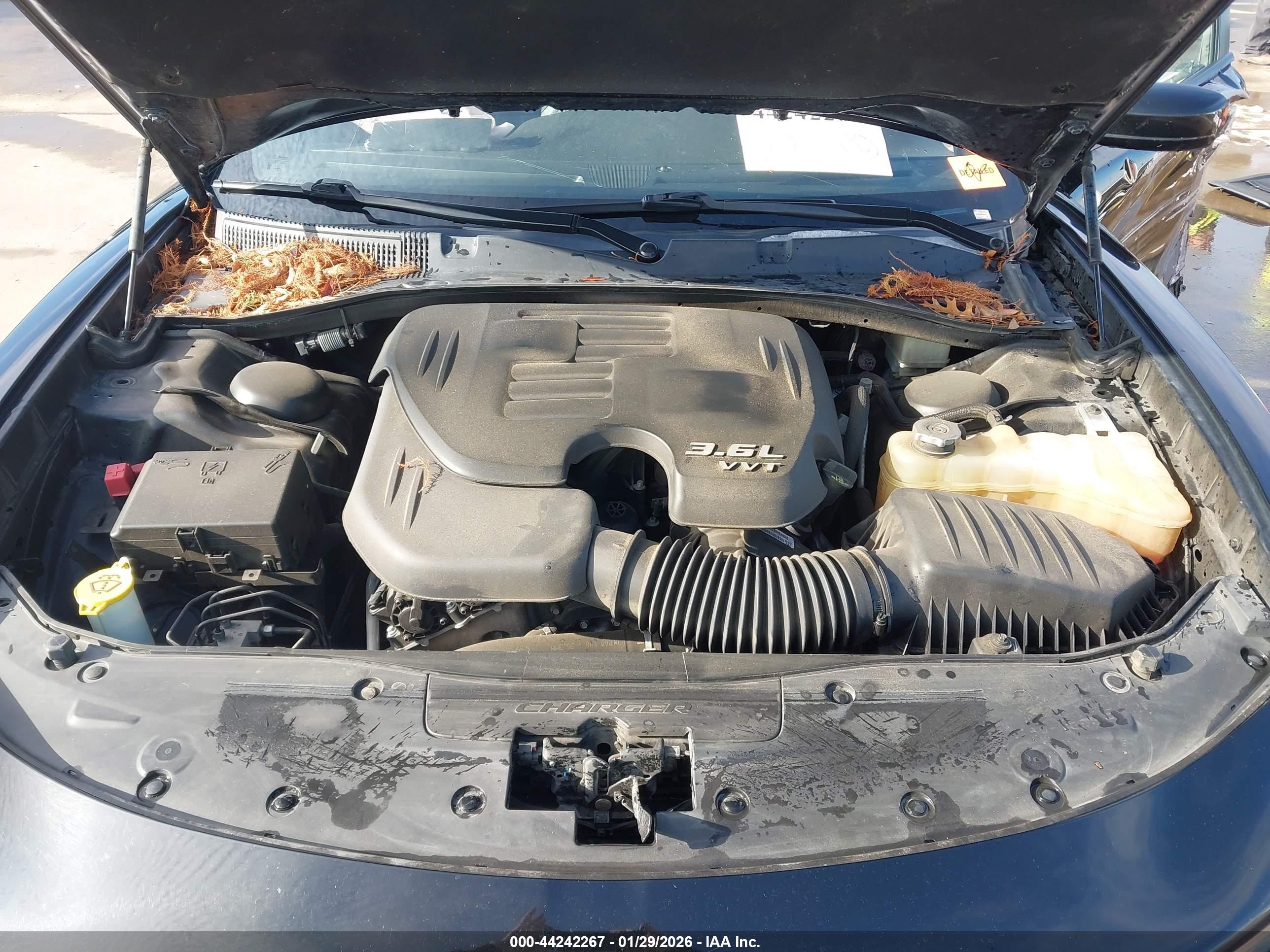 DODGE CHARGER image 10