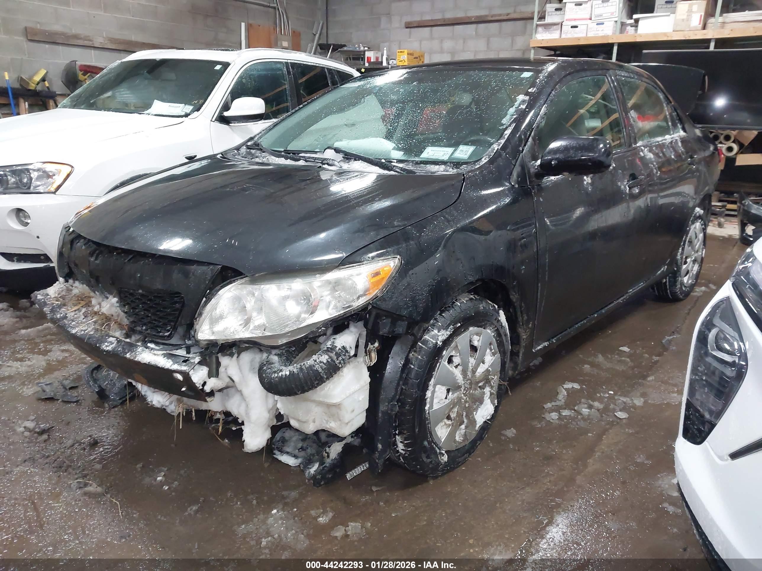 TOYOTA COROLLA image 2
