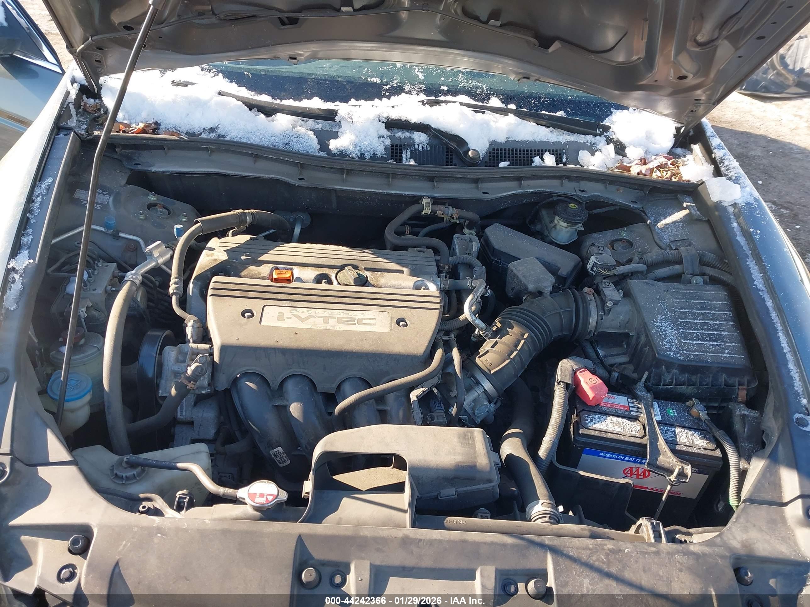 HONDA ACCORD image 10