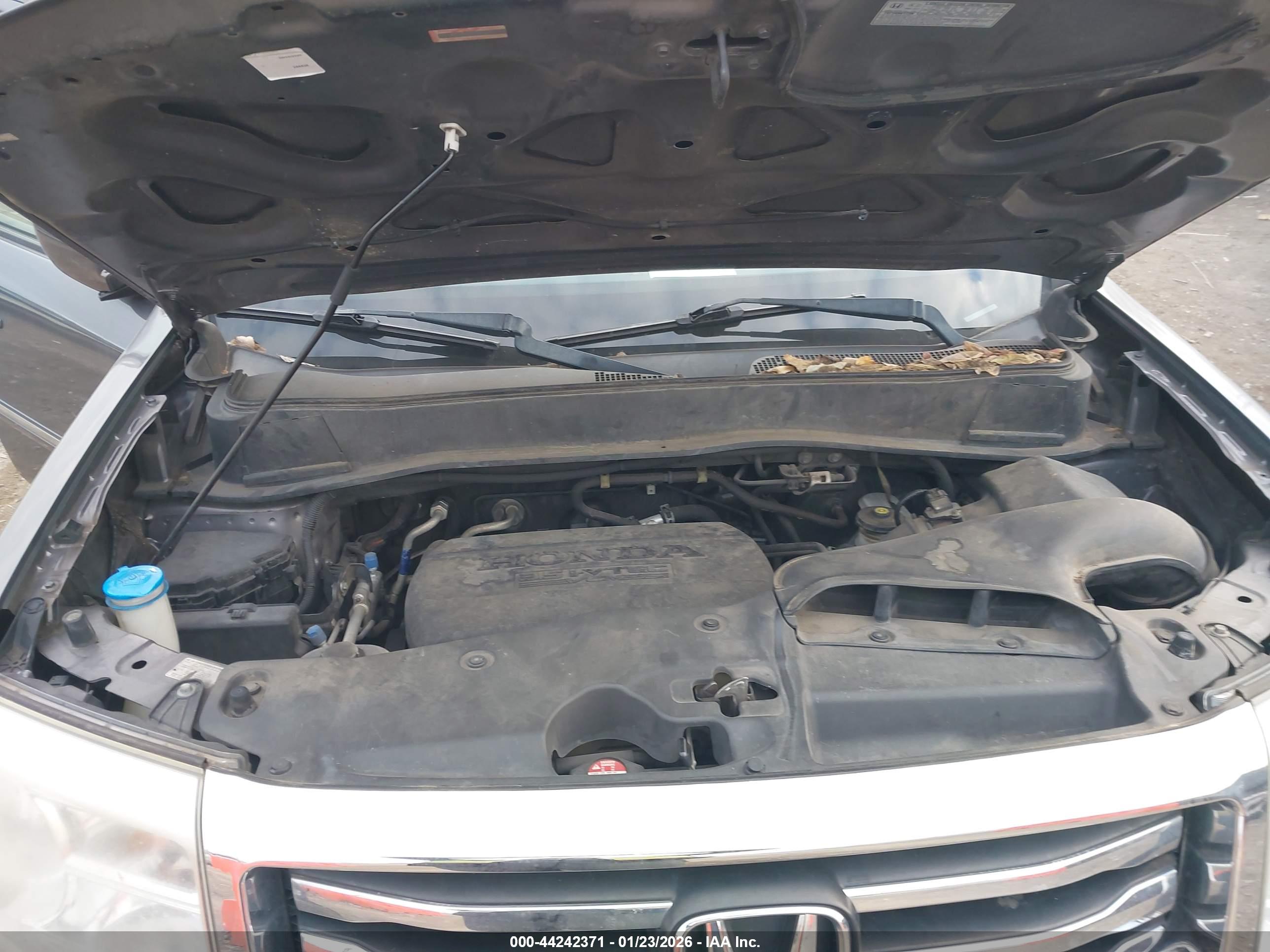 HONDA PILOT image 10