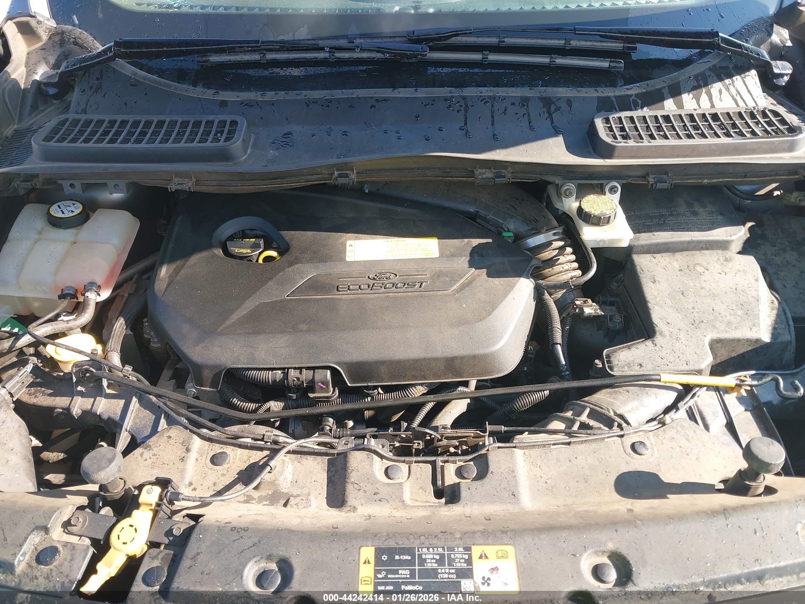 FORD ESCAPE image 10