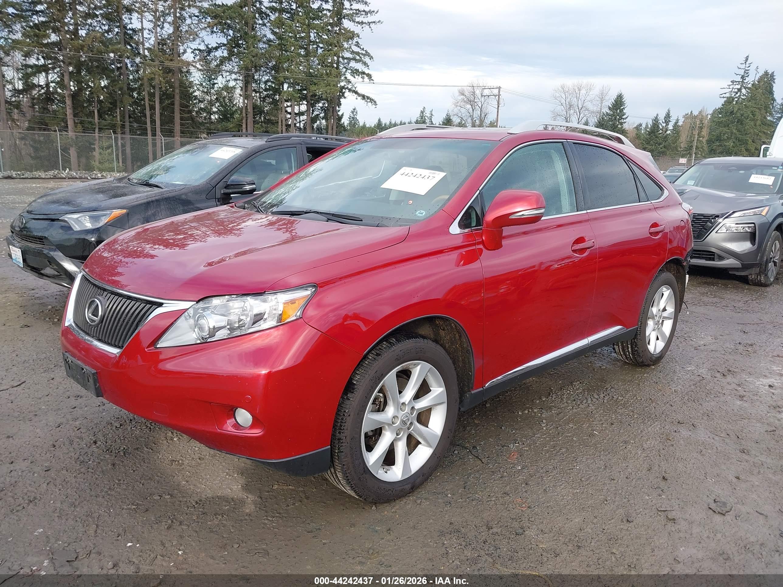LEXUS RX image 2