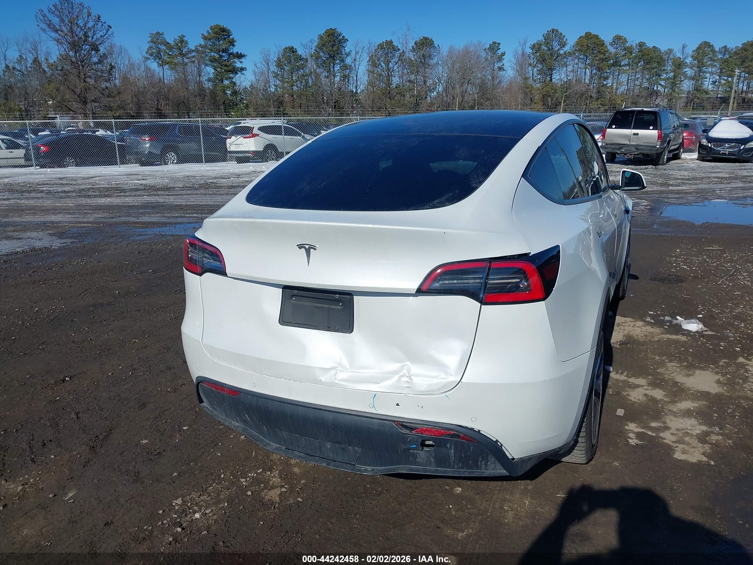 TESLA MODEL image 6