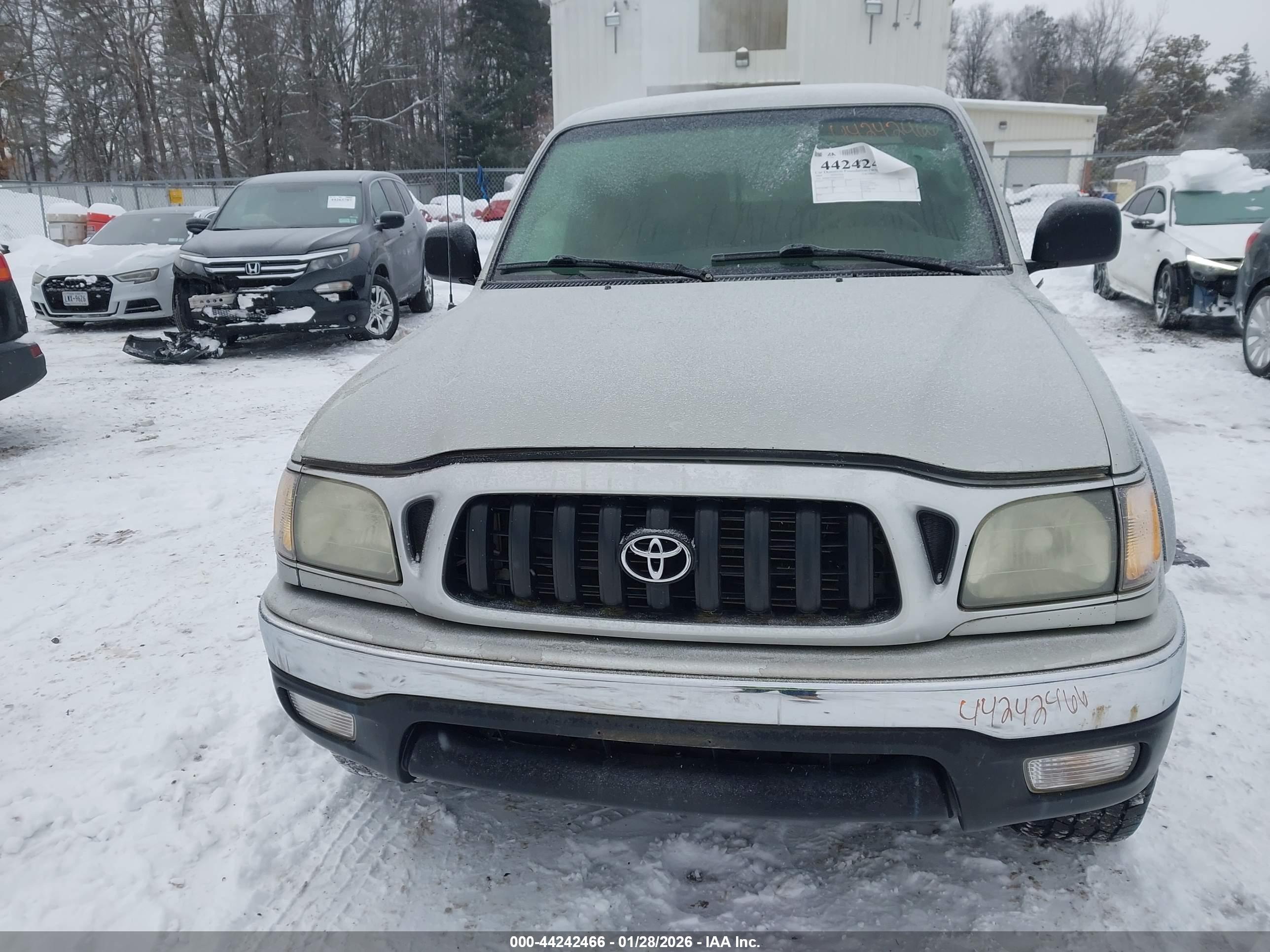 TOYOTA TACOMA image 6