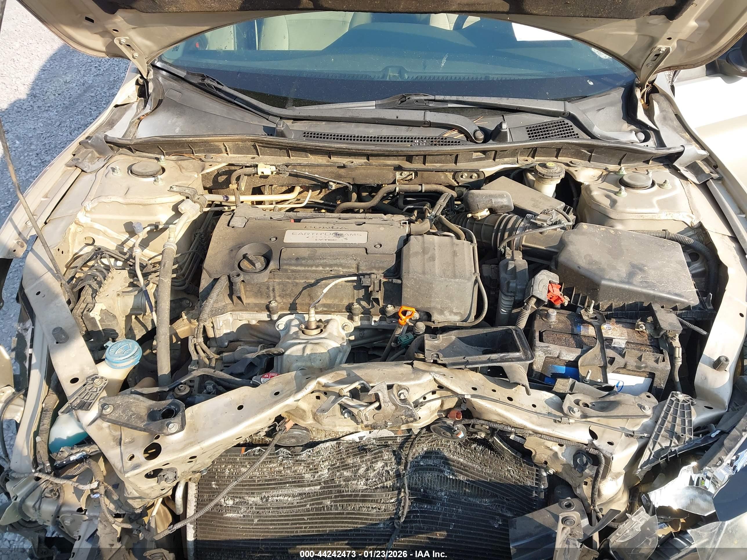 HONDA ACCORD image 10
