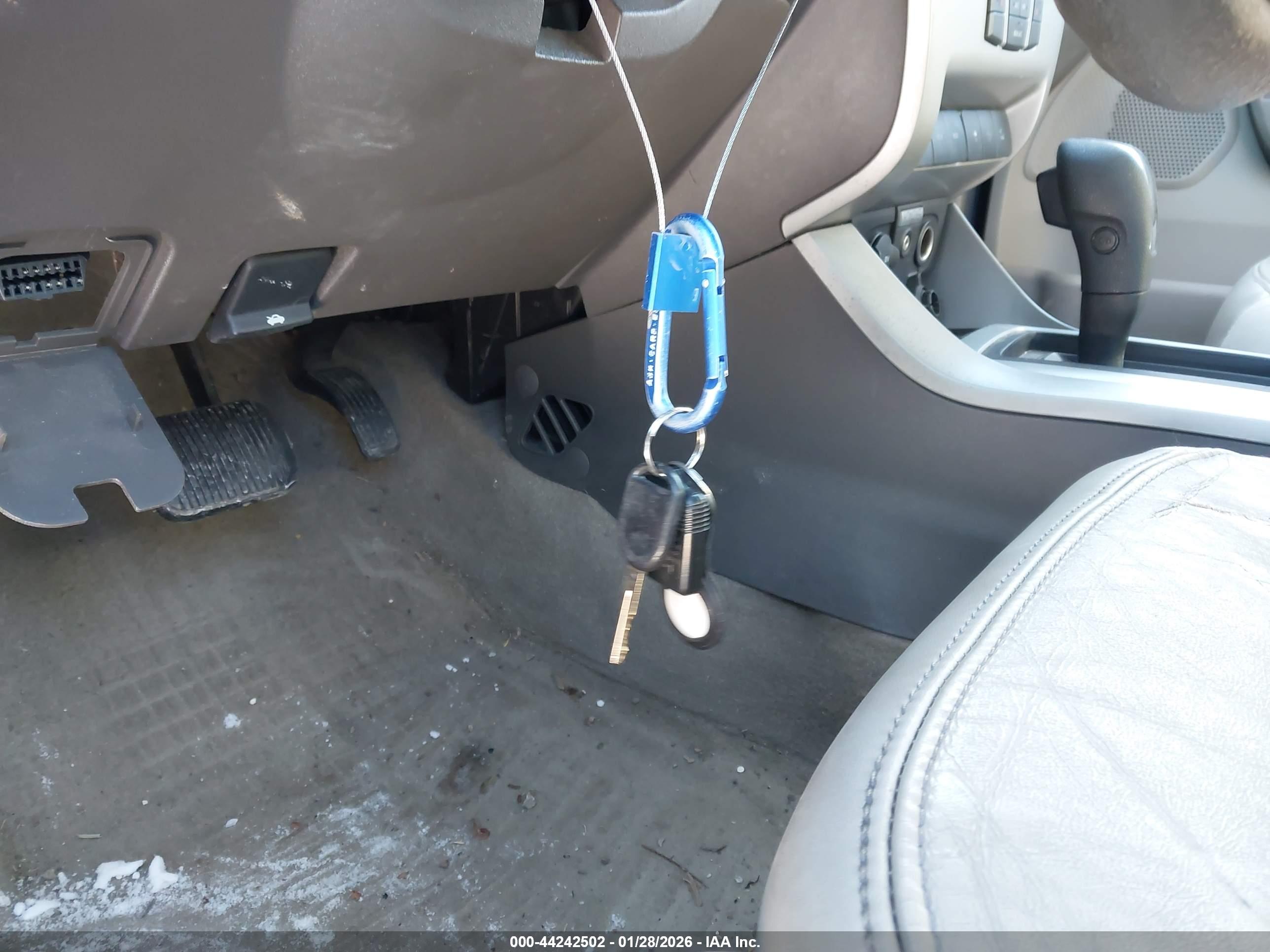 FORD FOCUS image 11
