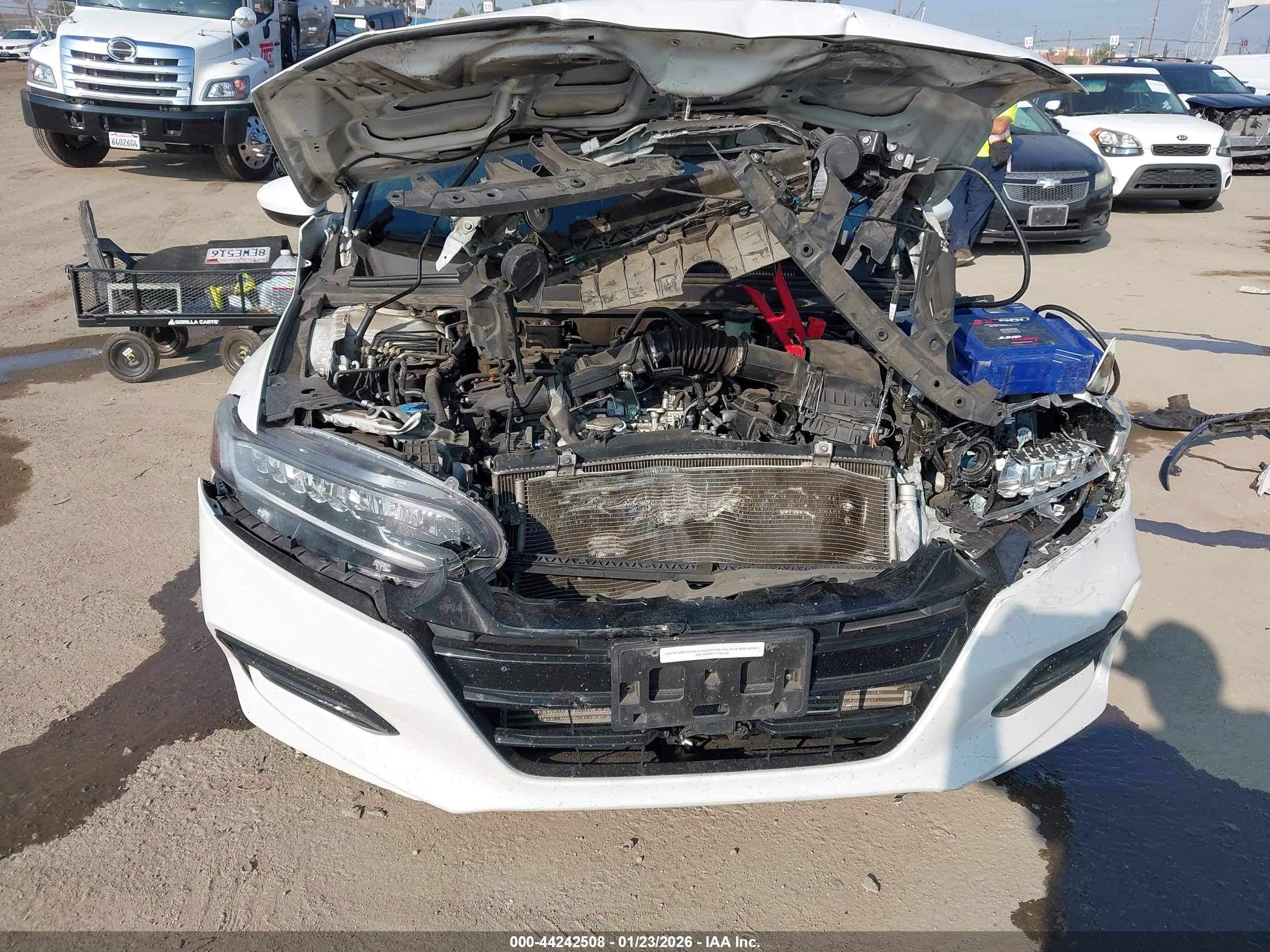 HONDA ACCORD image 6