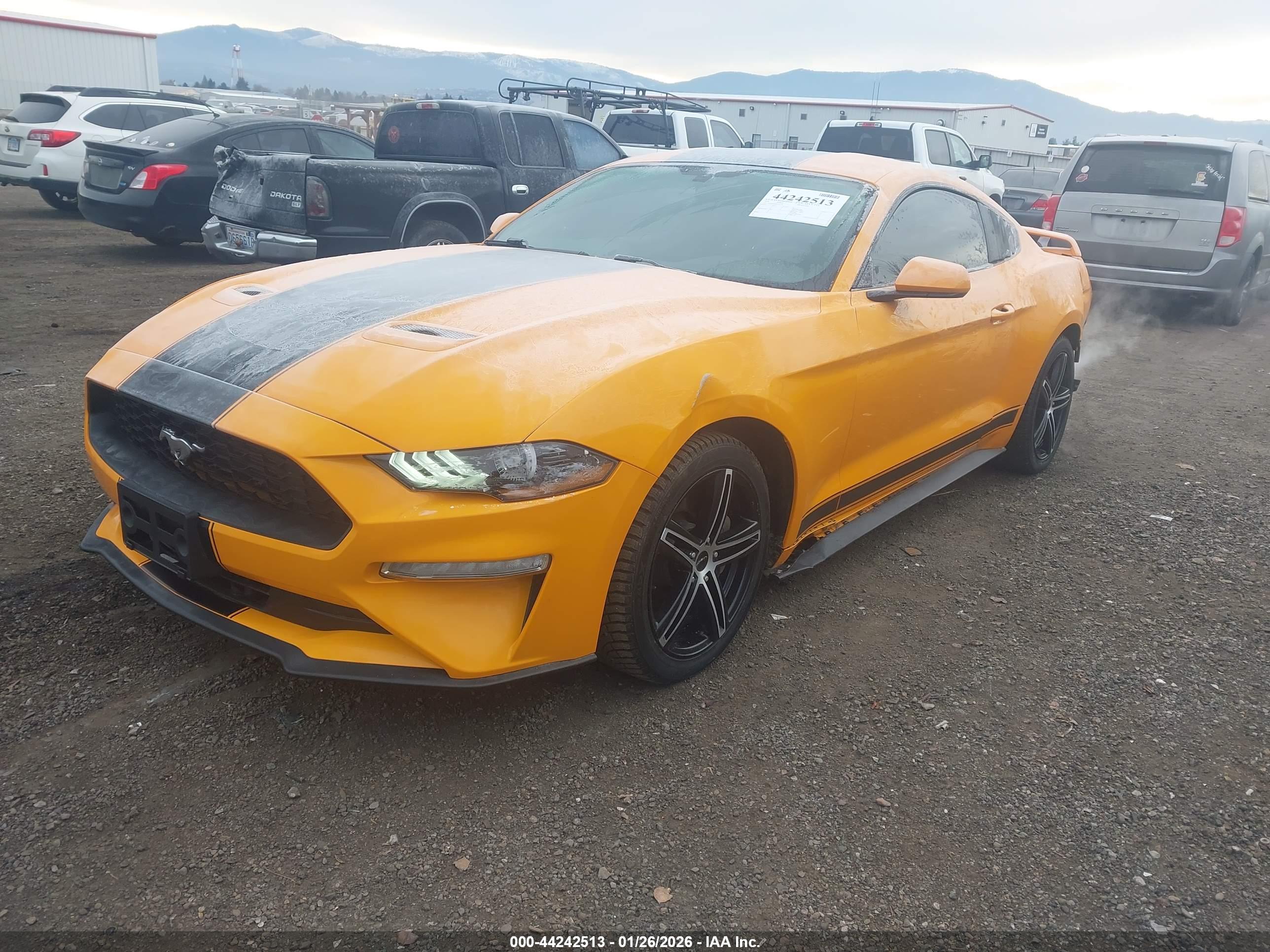 FORD MUSTANG image 2