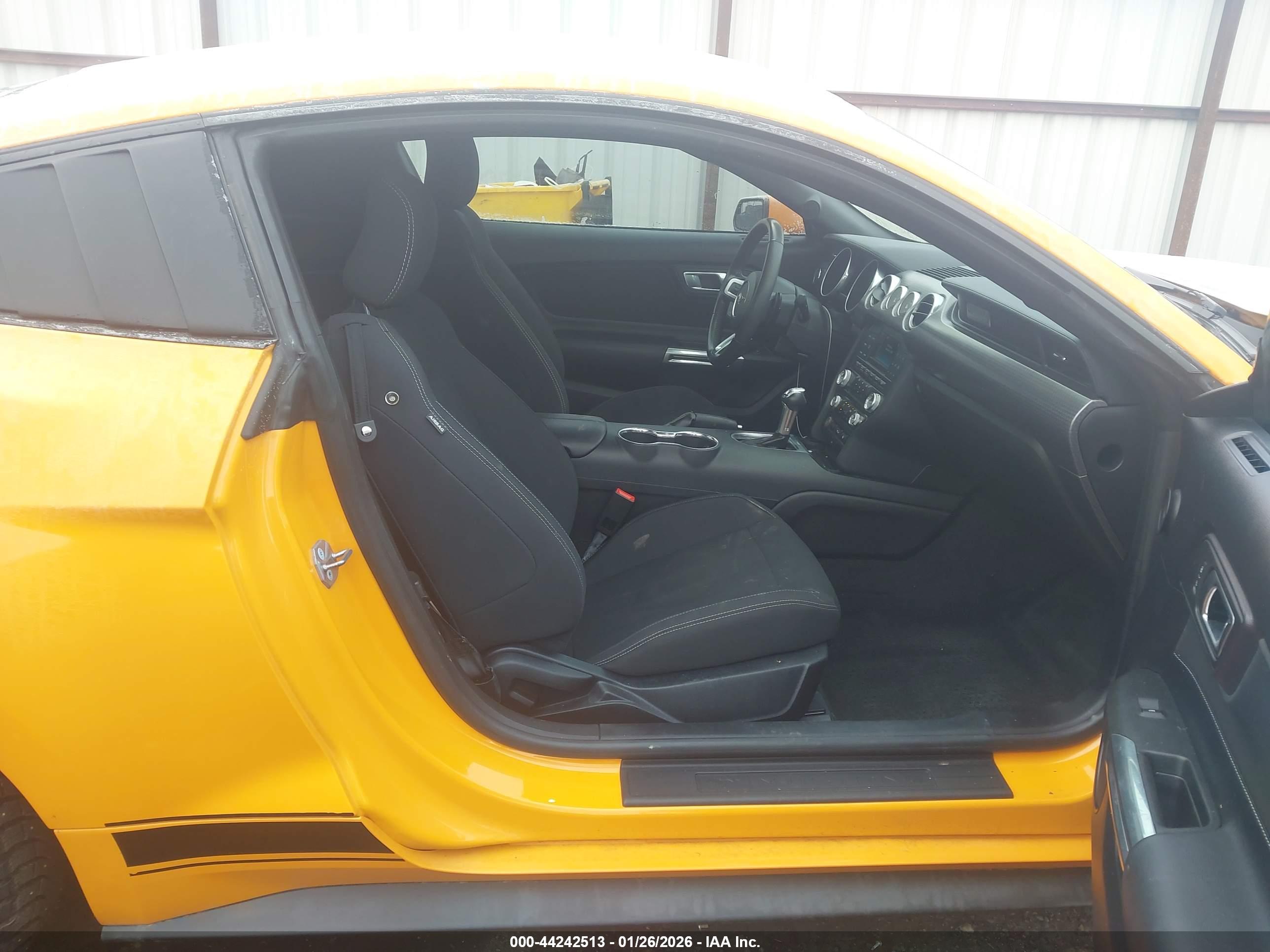 FORD MUSTANG image 5