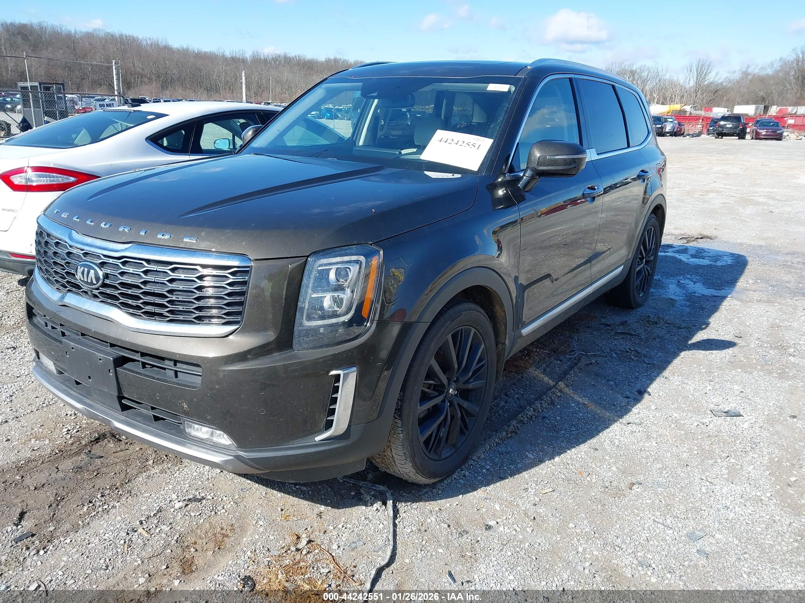 KIA TELLURIDE image 2