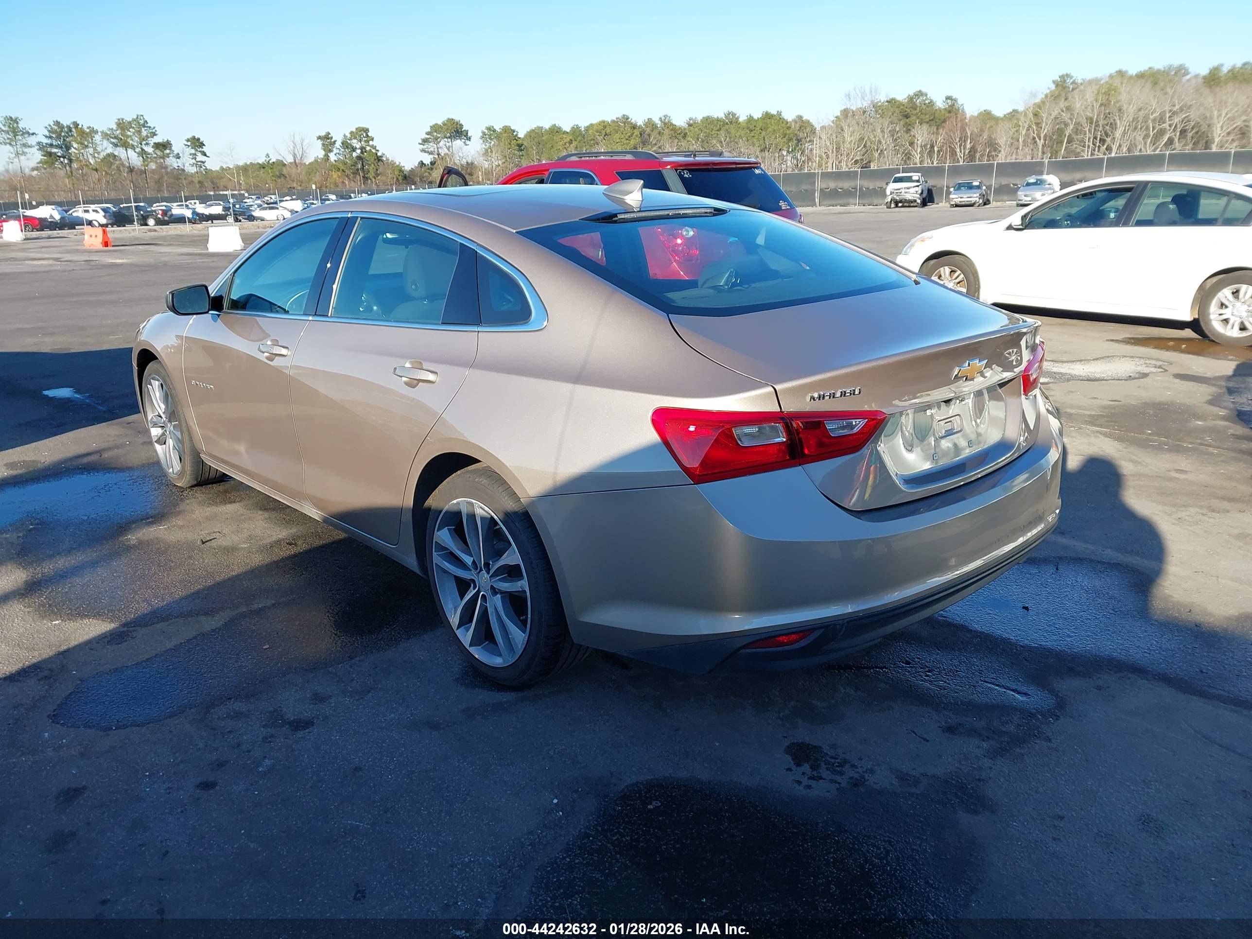 CHEVROLET MALIBU image 3