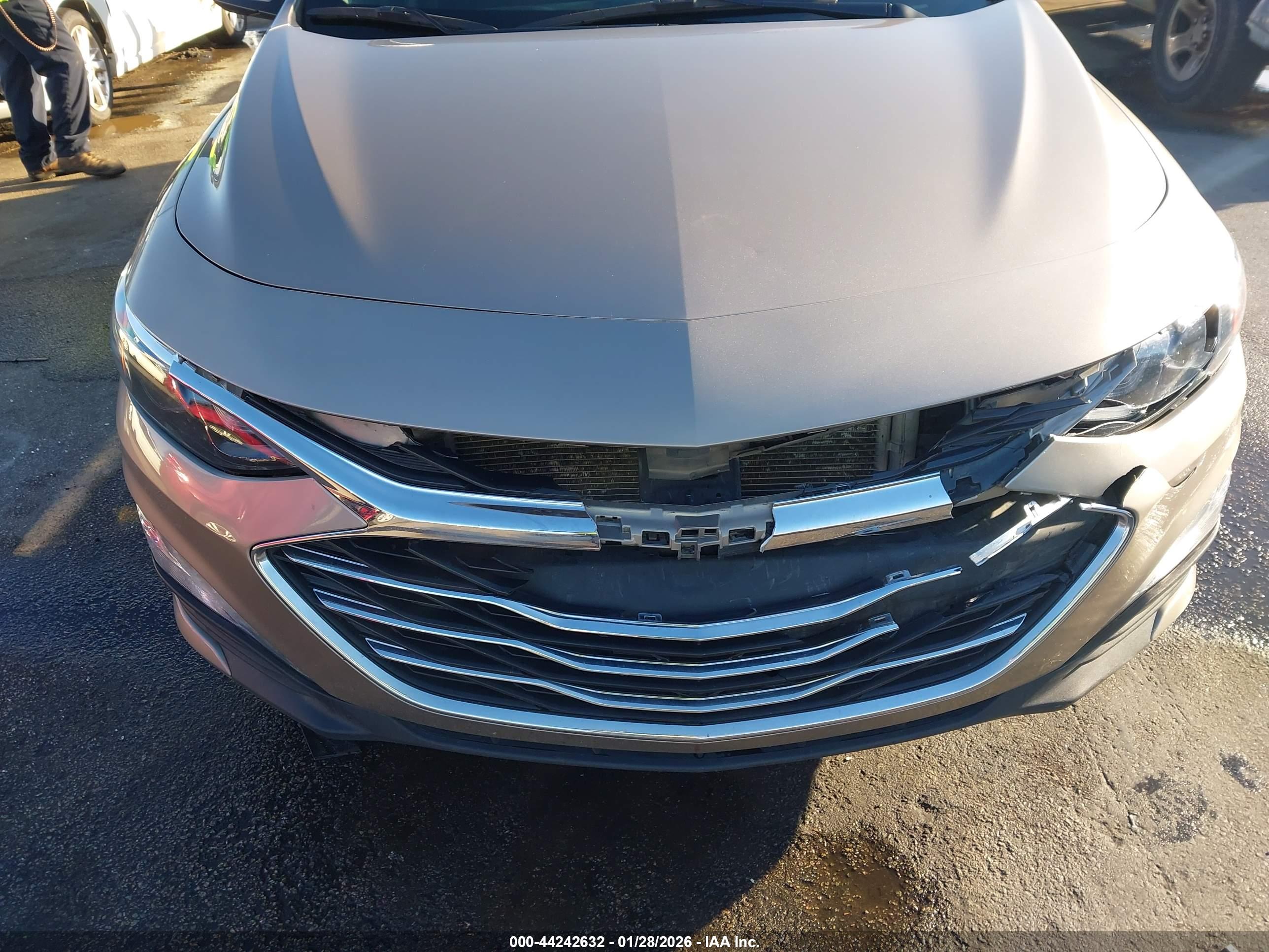 CHEVROLET MALIBU image 6