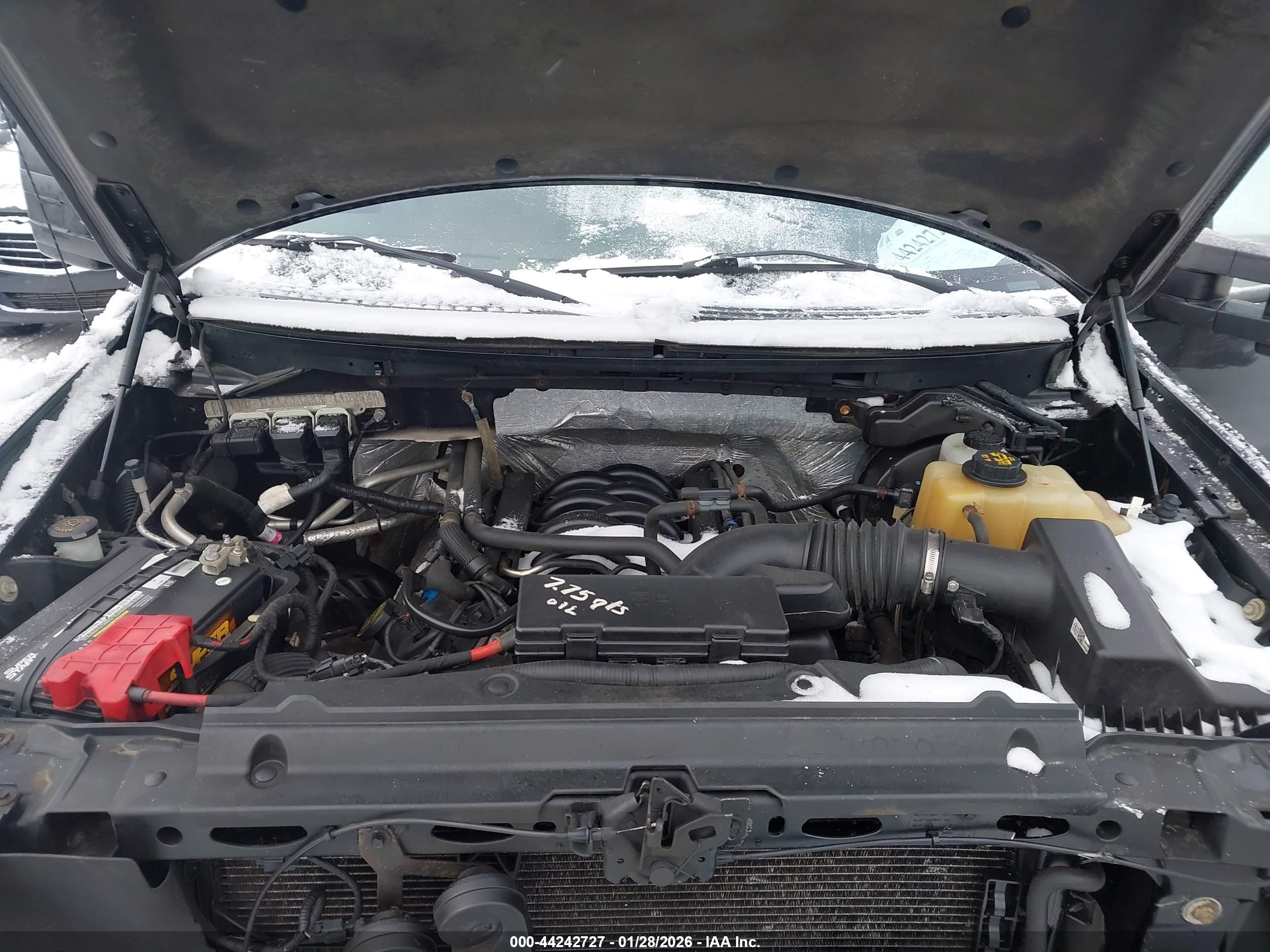 FORD F-150 image 10