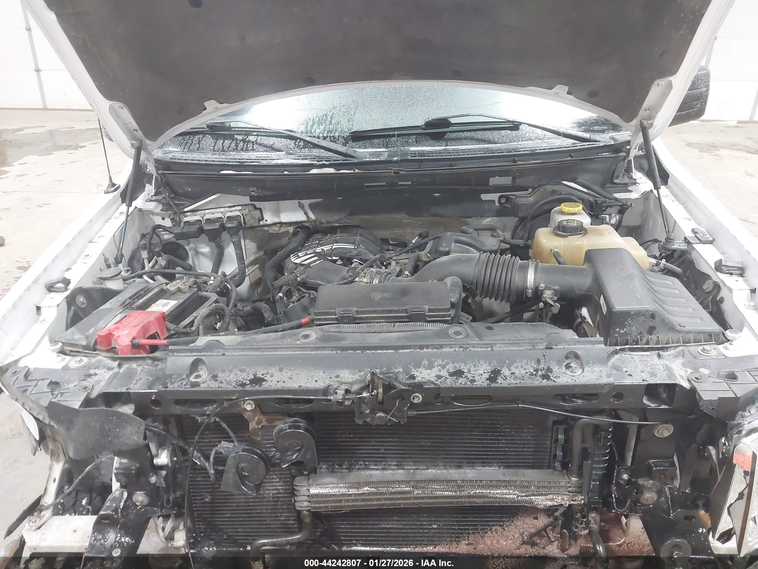 FORD F-150 image 10