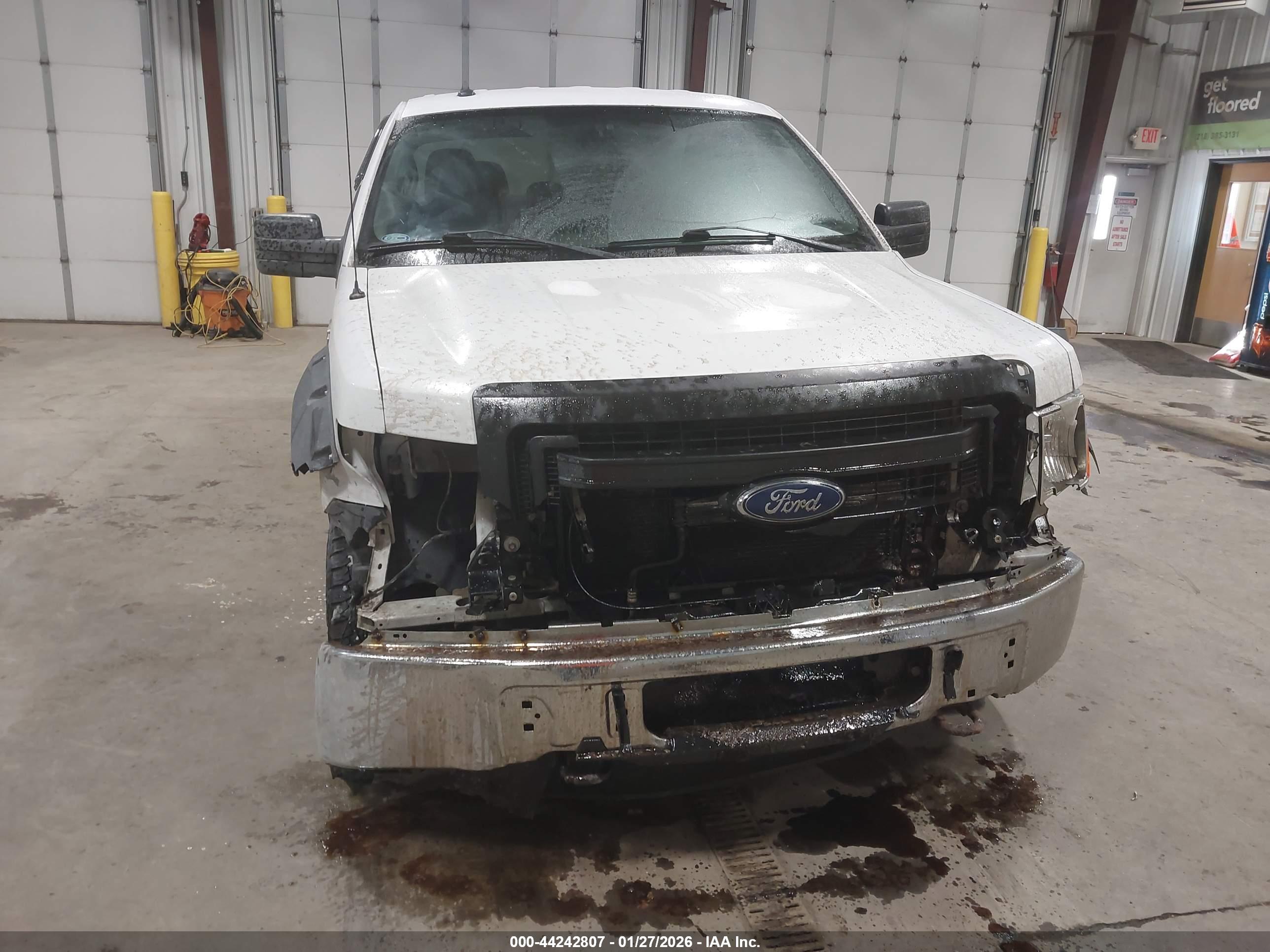 FORD F-150 image 6