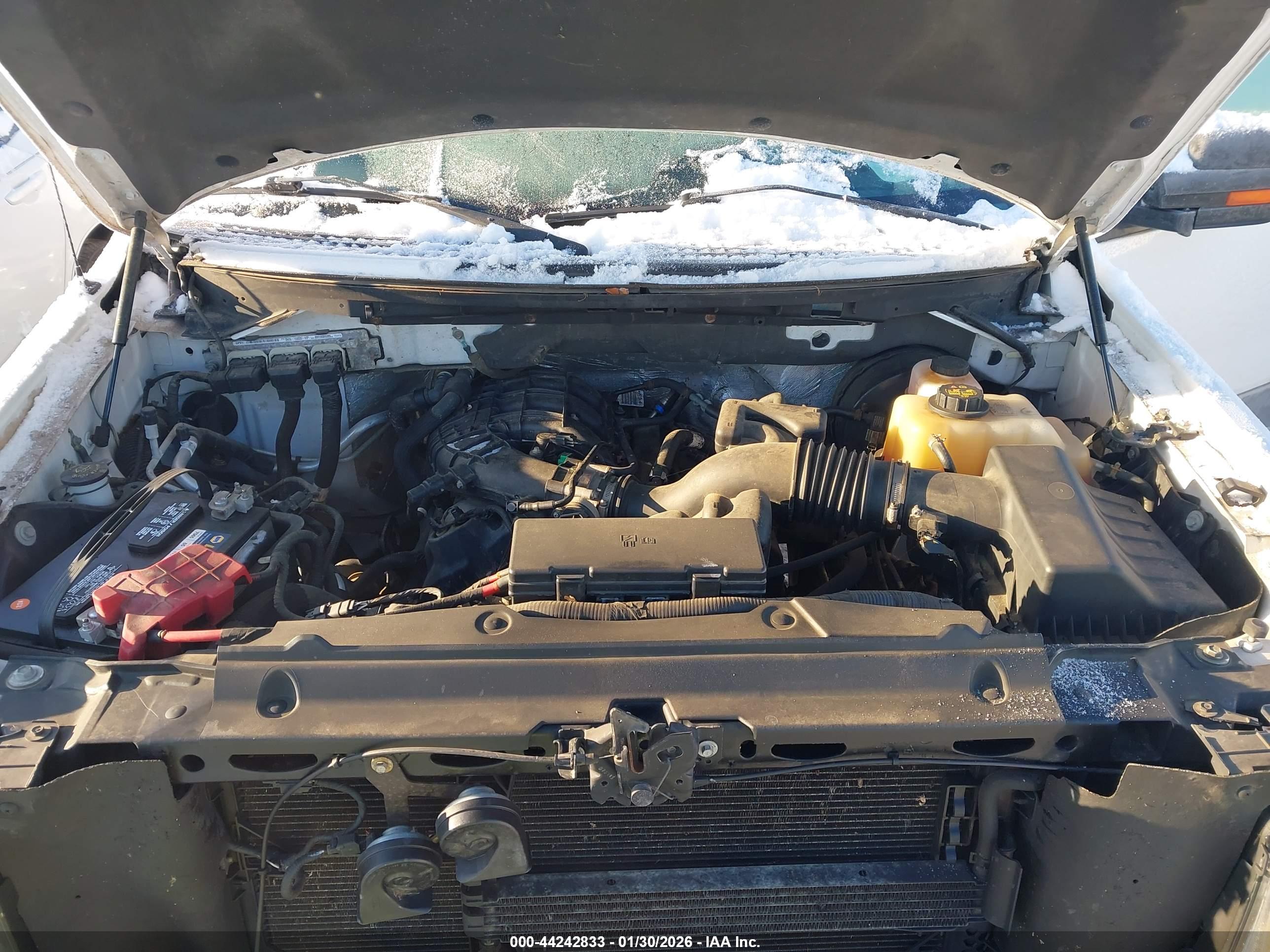 FORD F-150 image 10