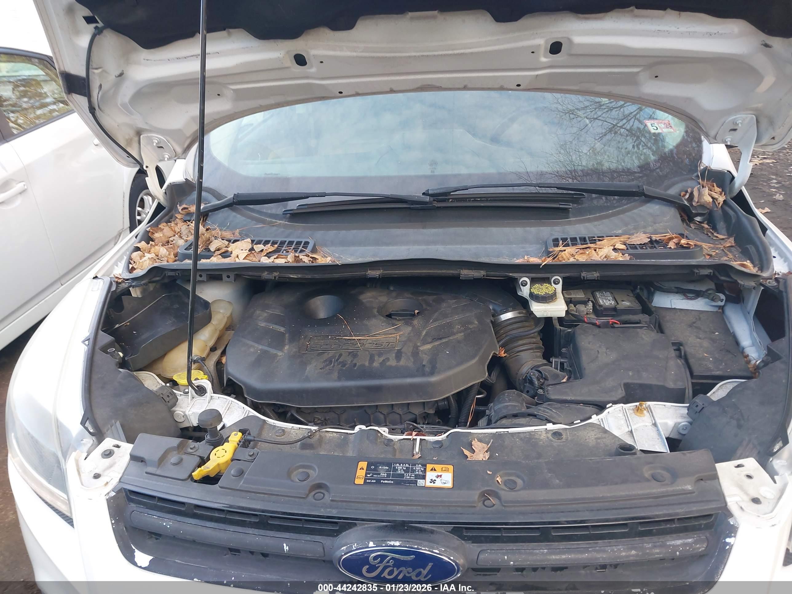 FORD ESCAPE image 10
