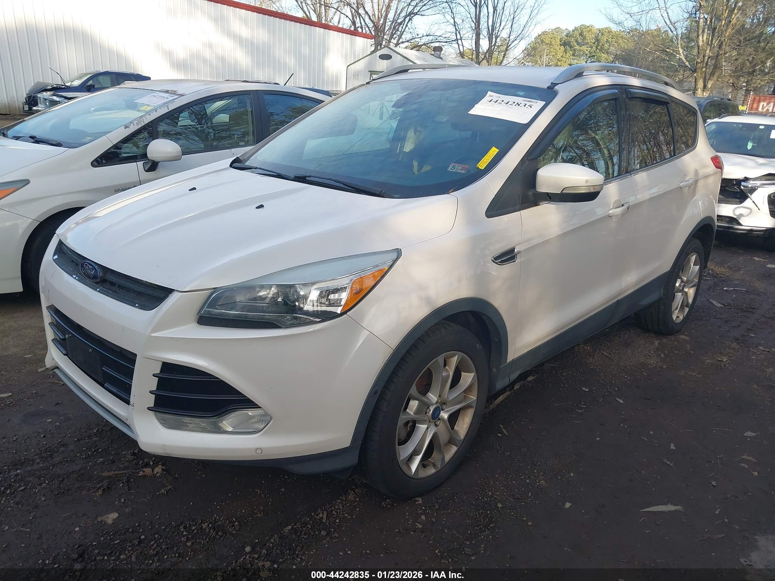 FORD ESCAPE image 2
