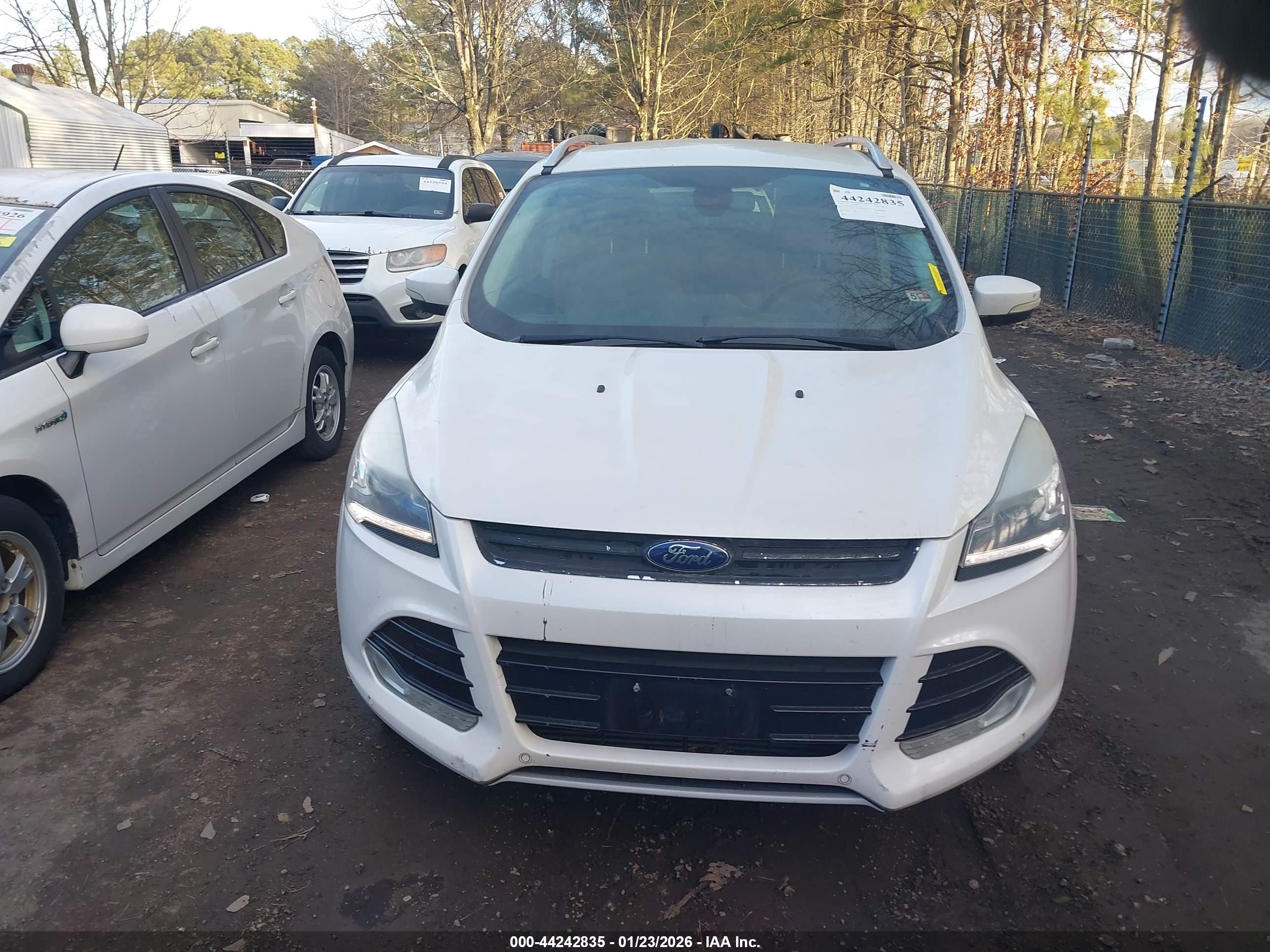FORD ESCAPE image 6