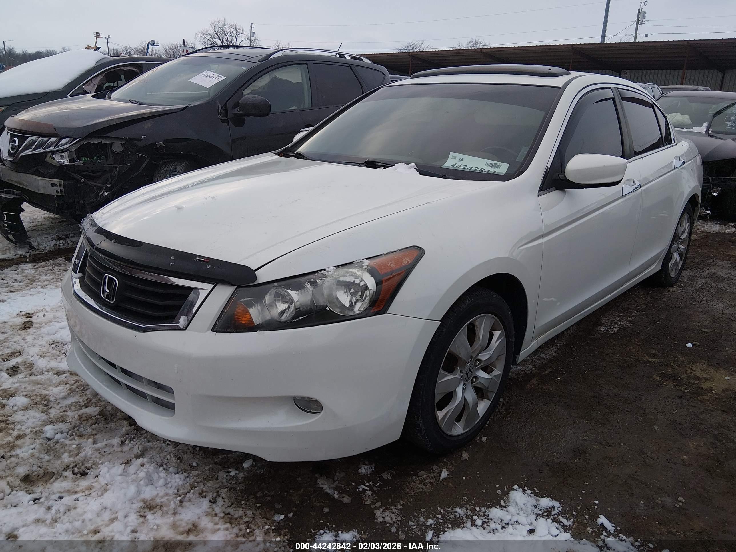 HONDA ACCORD image 2