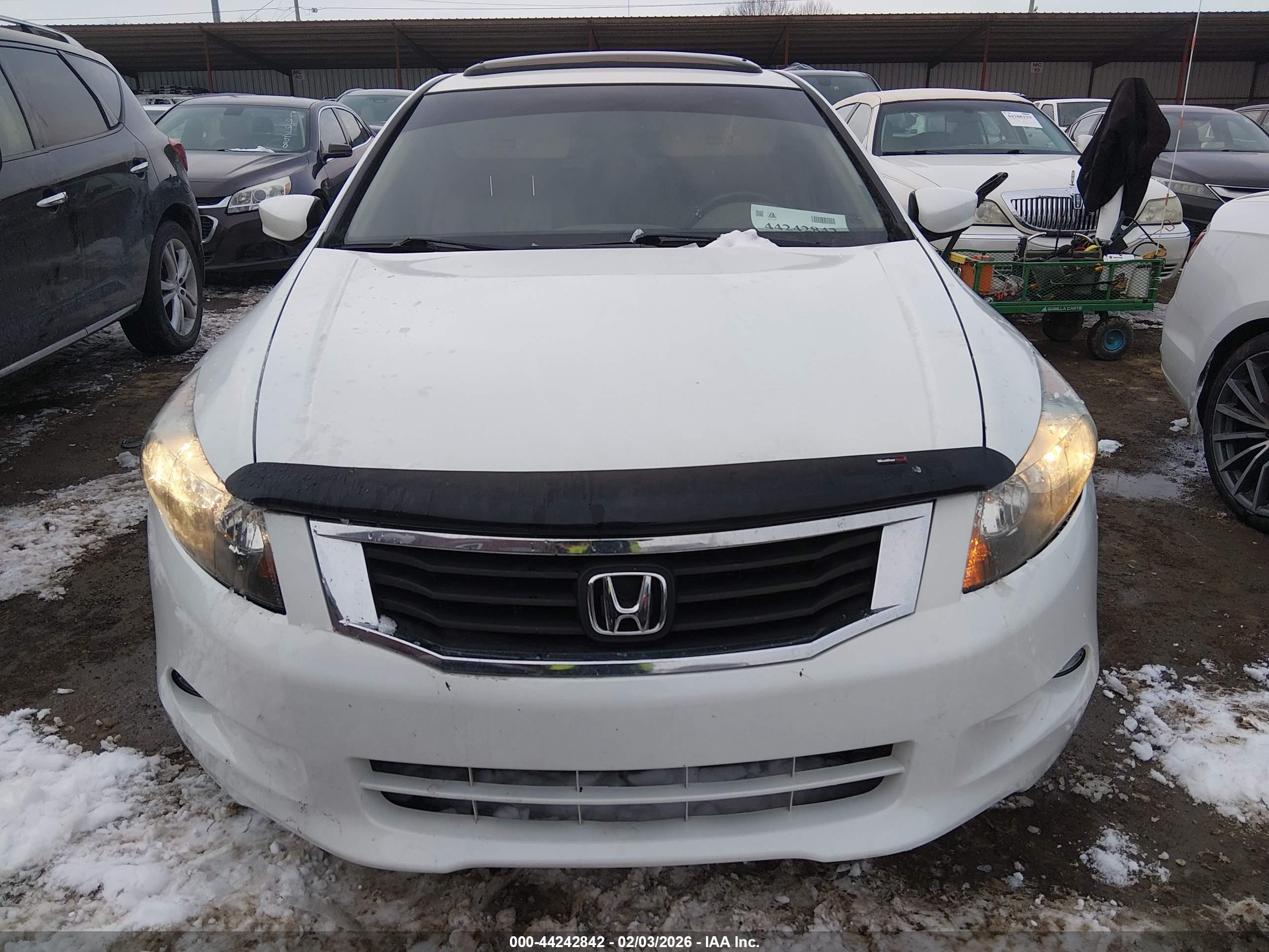 HONDA ACCORD image 6