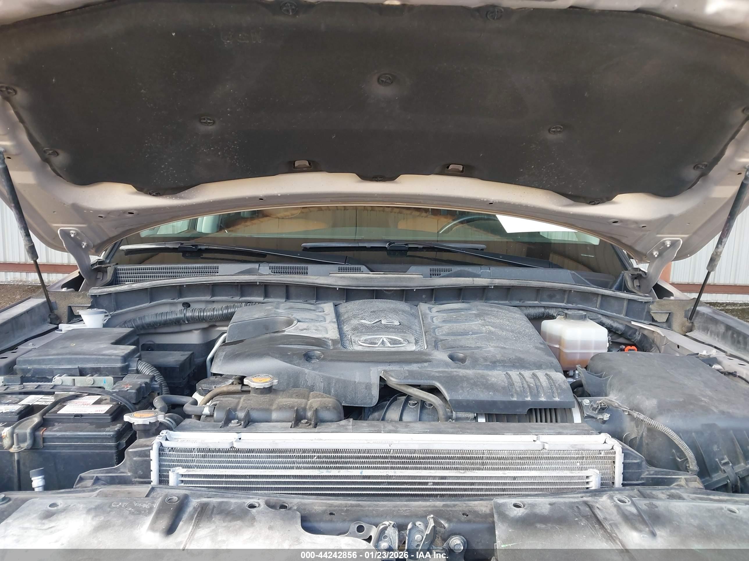 INFINITI QX80 image 10