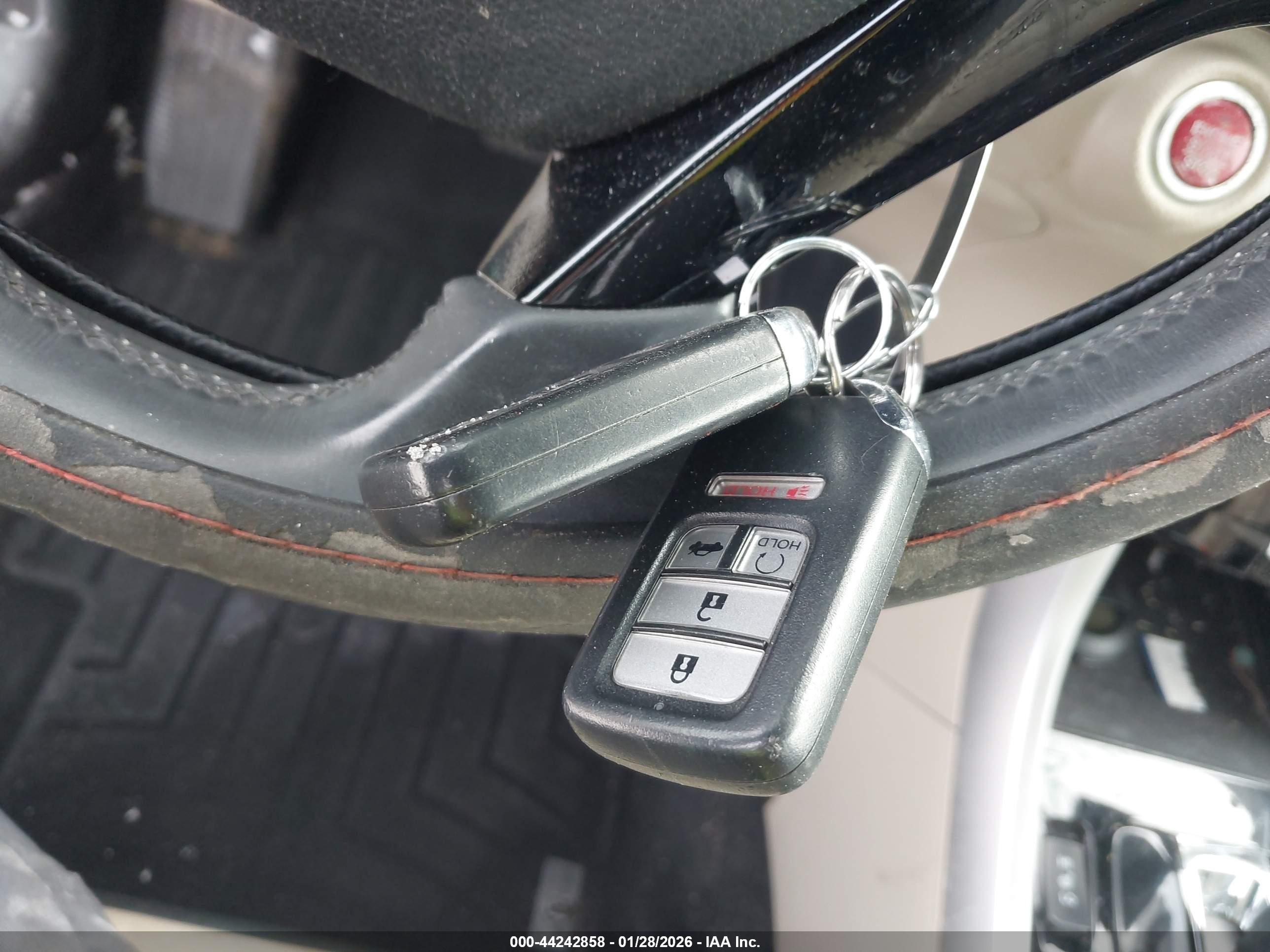 HONDA ACCORD image 11