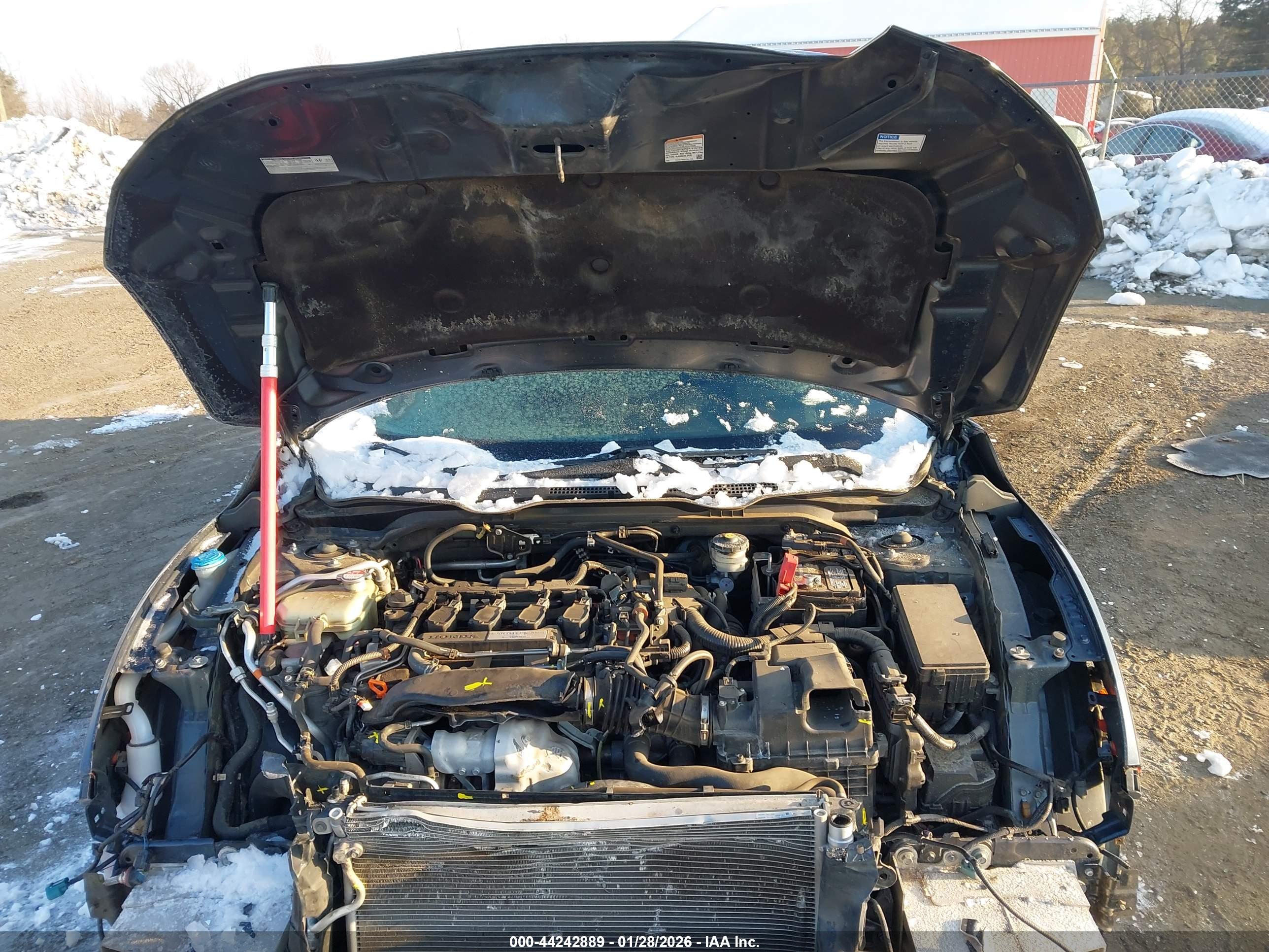 HONDA CIVIC image 10