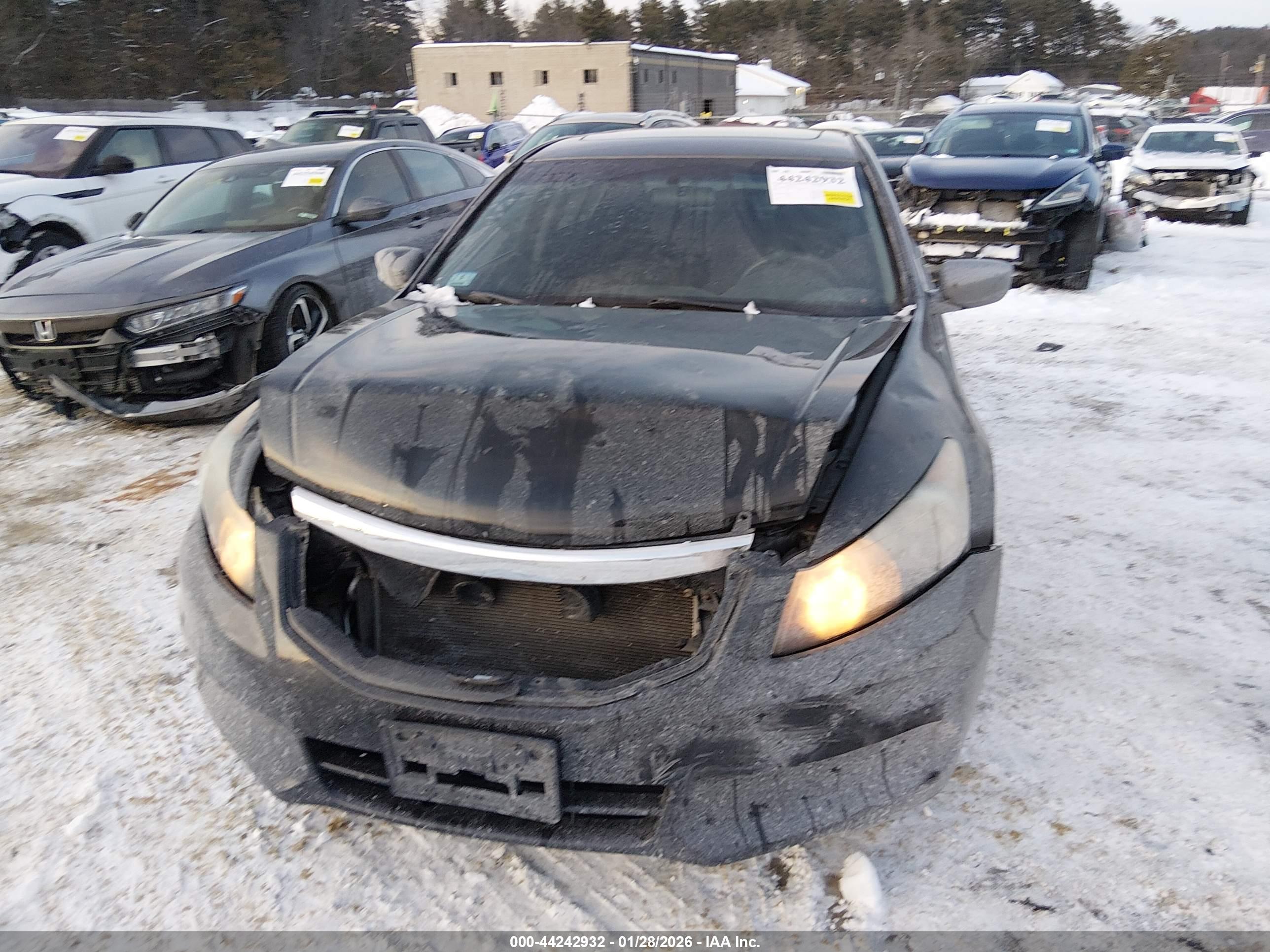 HONDA ACCORD image 6