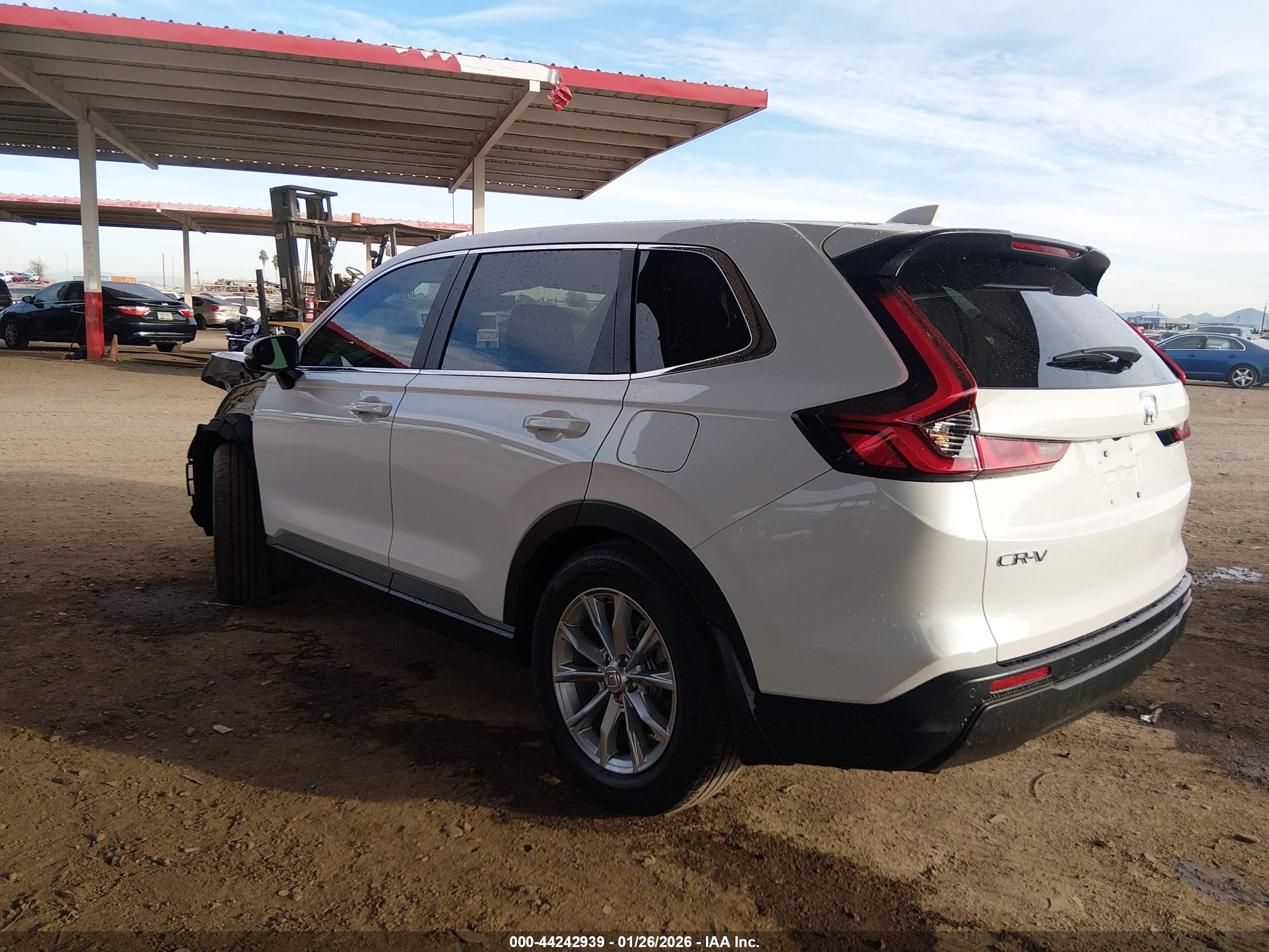 HONDA CR-V image 3