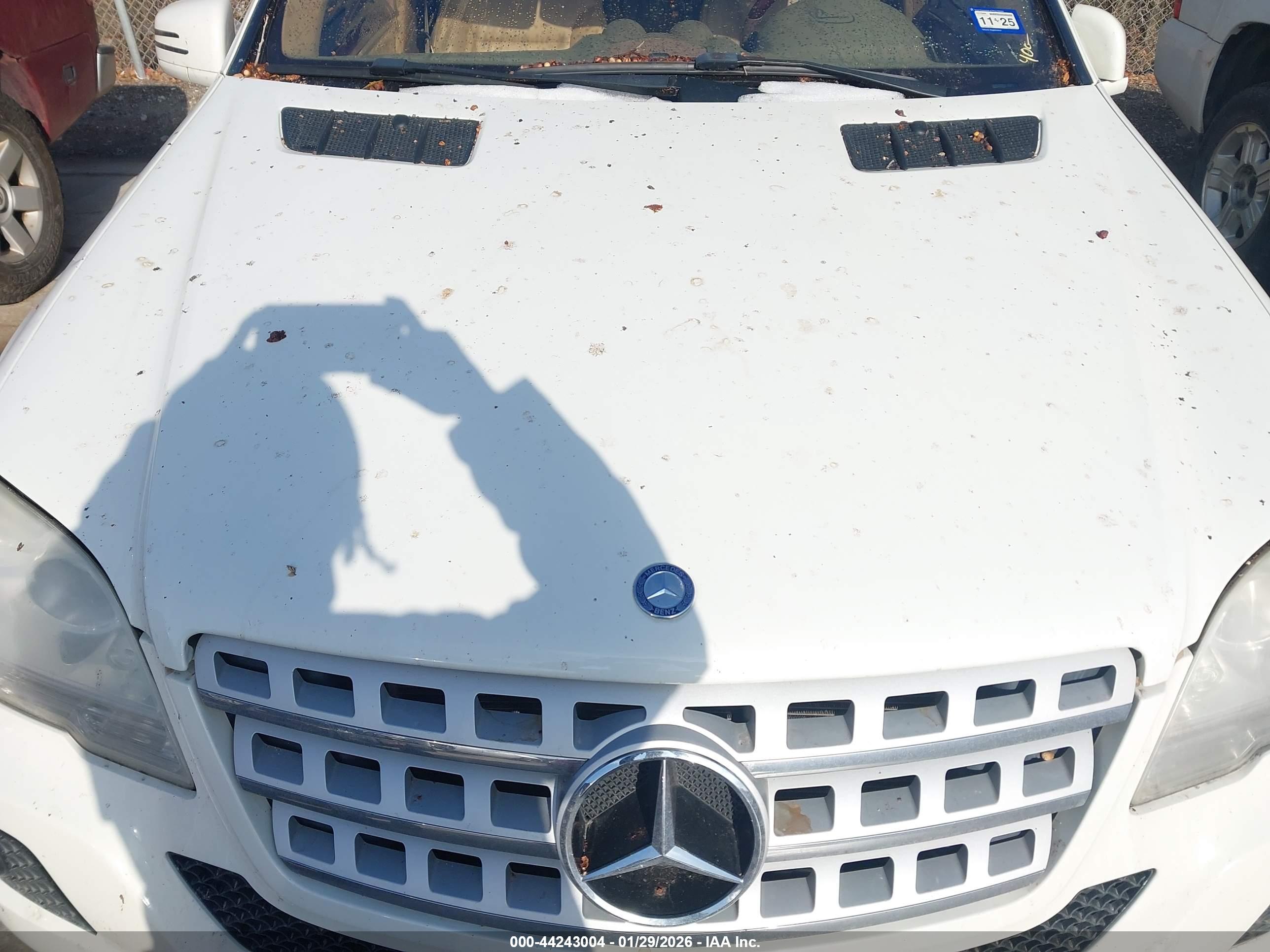 MERCEDES-BENZ ML image 10