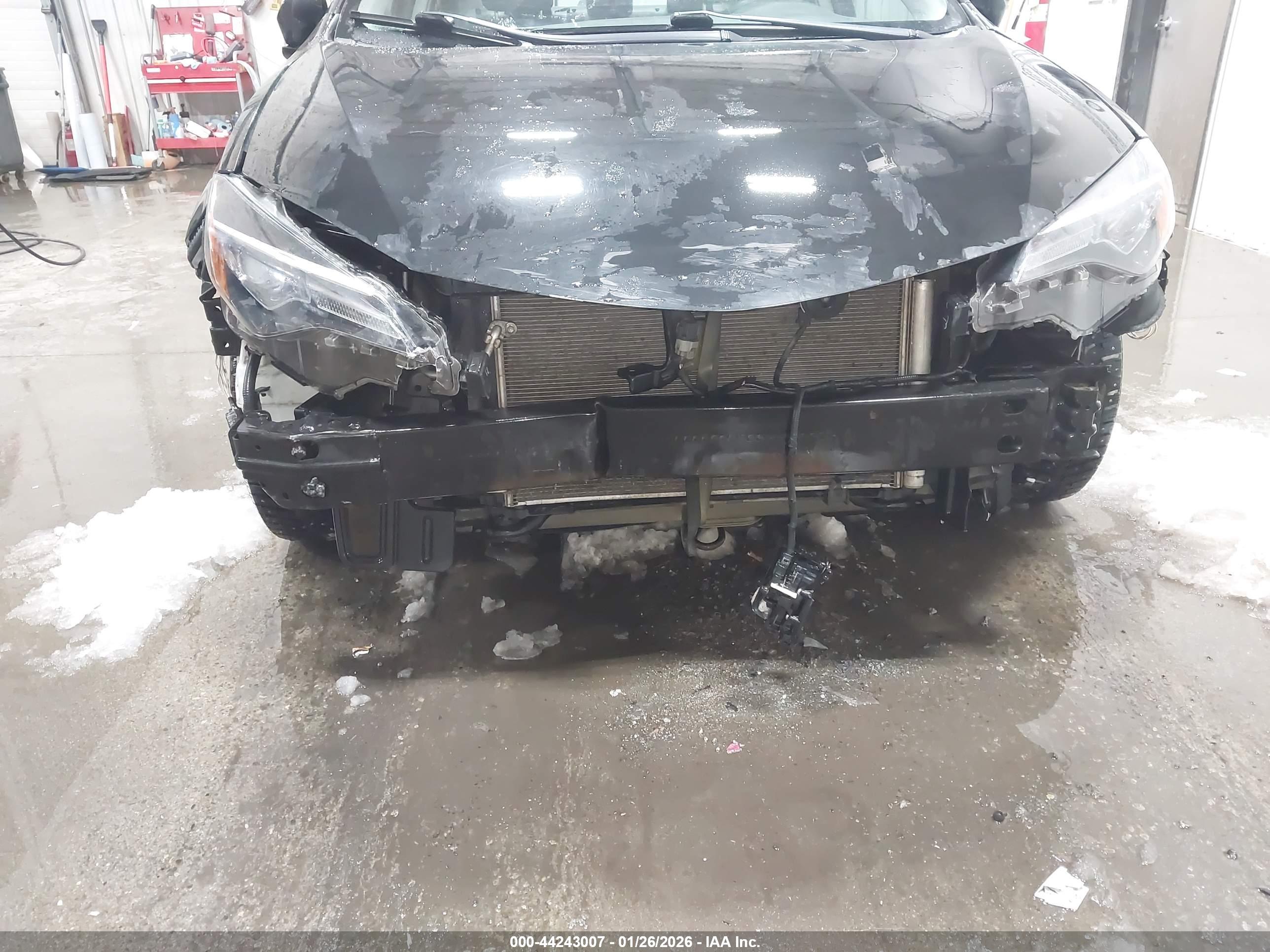 TOYOTA COROLLA image 6
