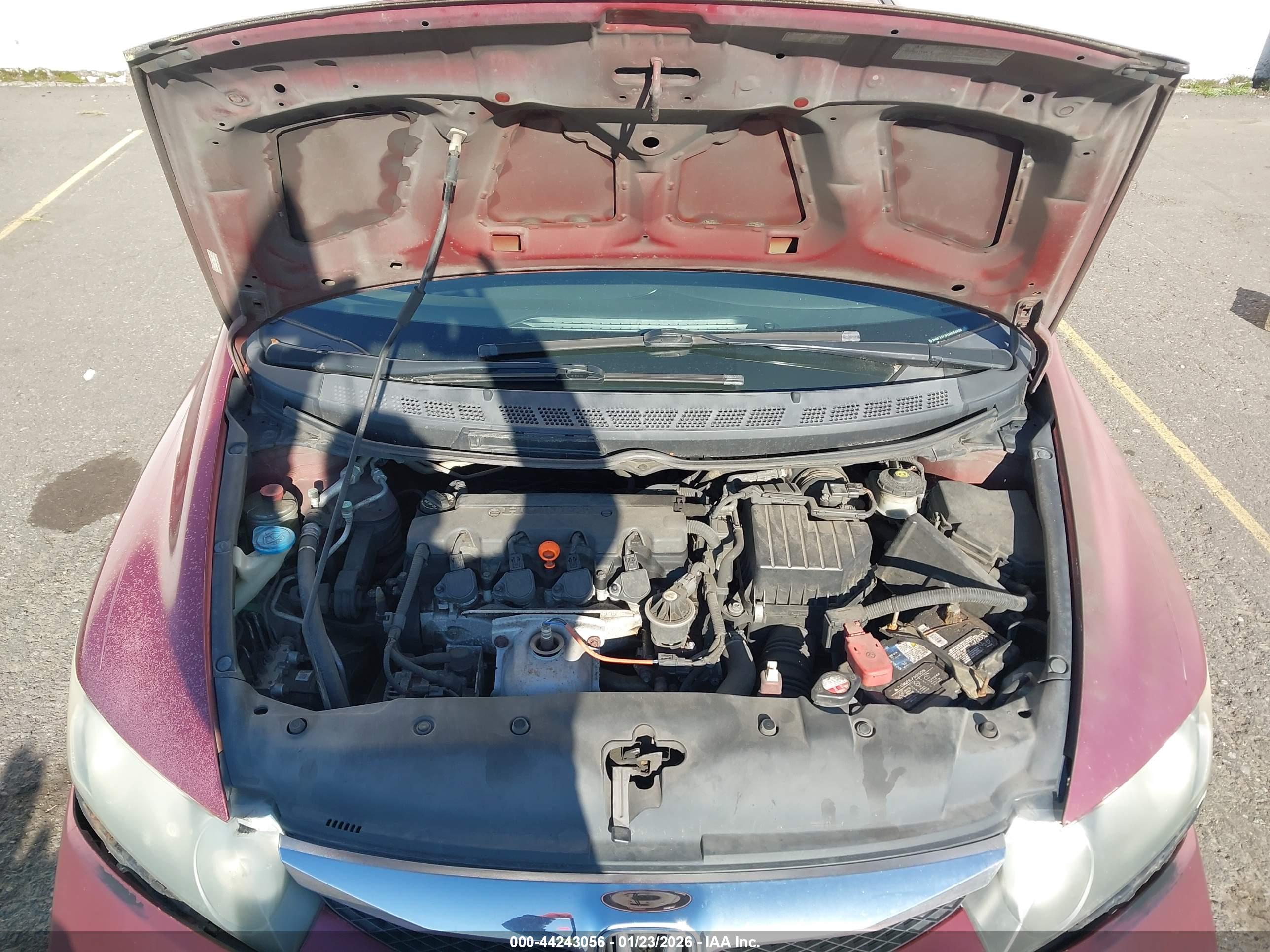 HONDA CIVIC image 10
