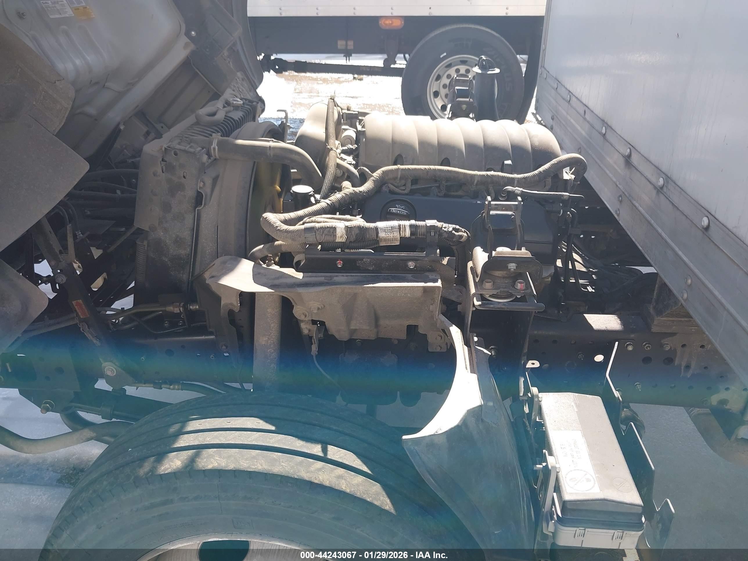 ISUZU NPR image 10