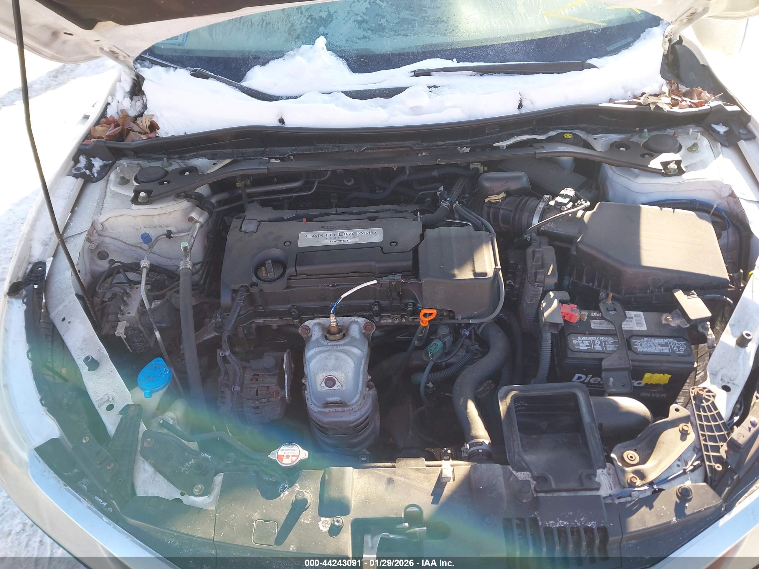 HONDA ACCORD image 10