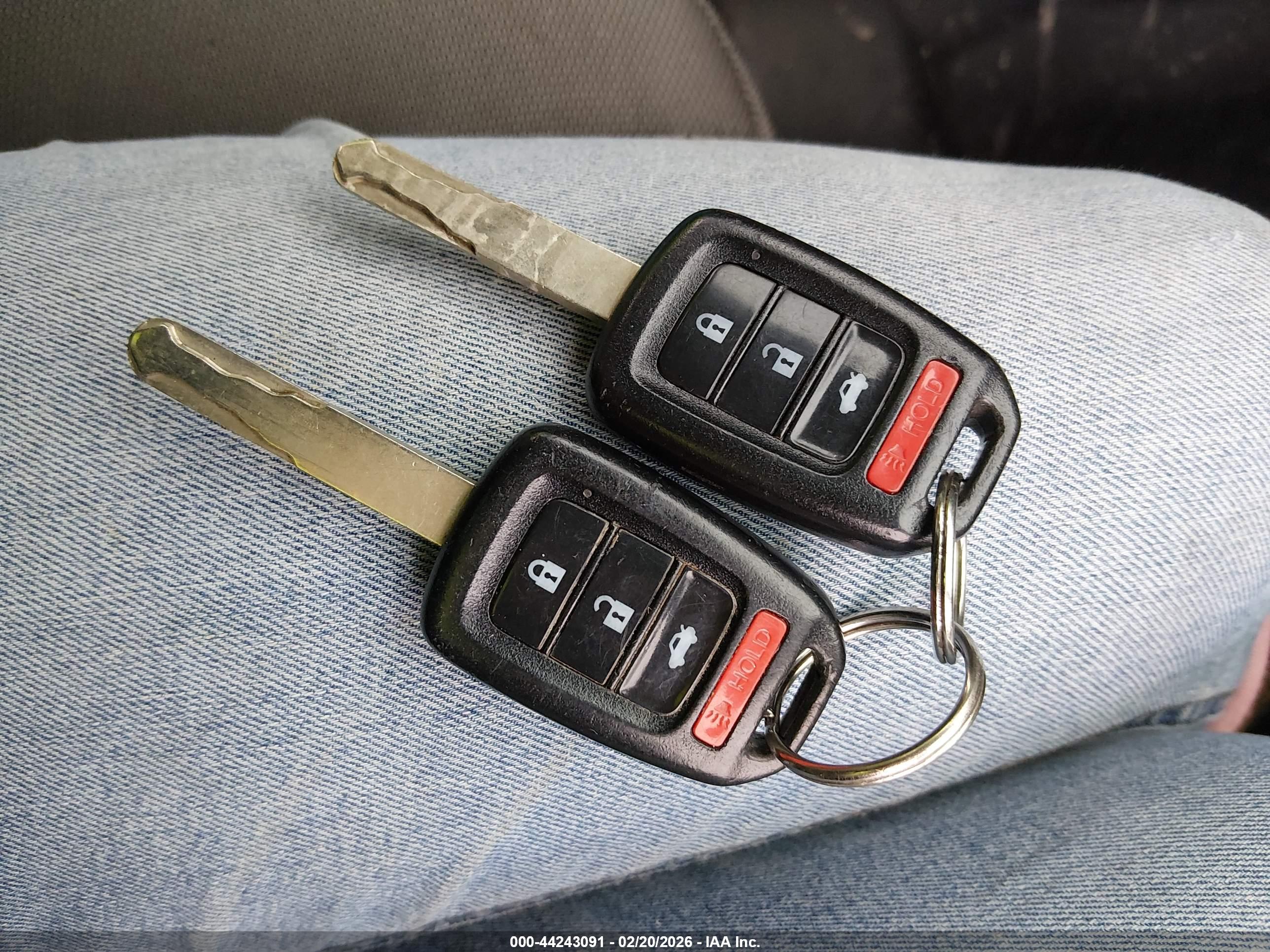 HONDA ACCORD image 11