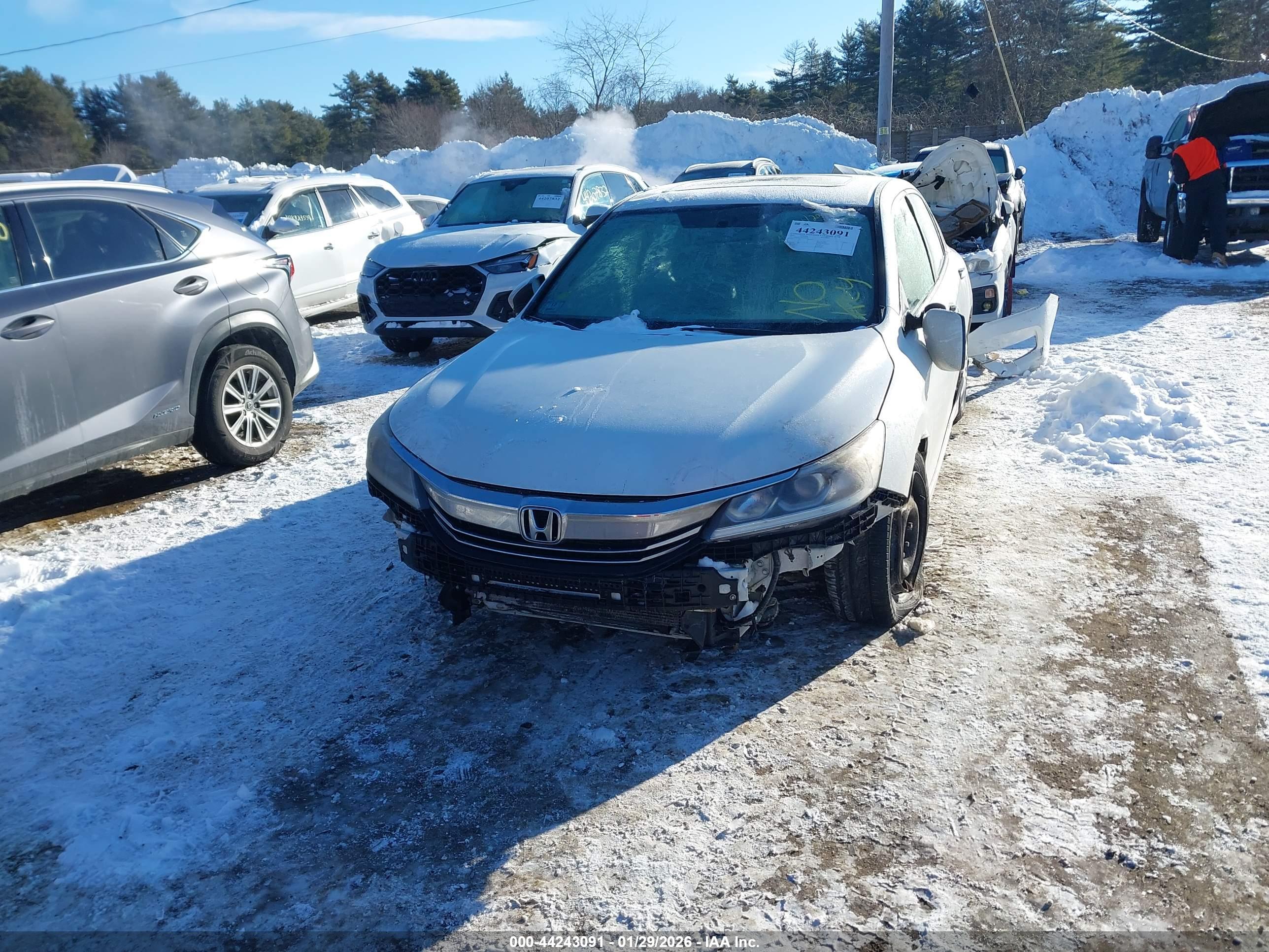 HONDA ACCORD image 6