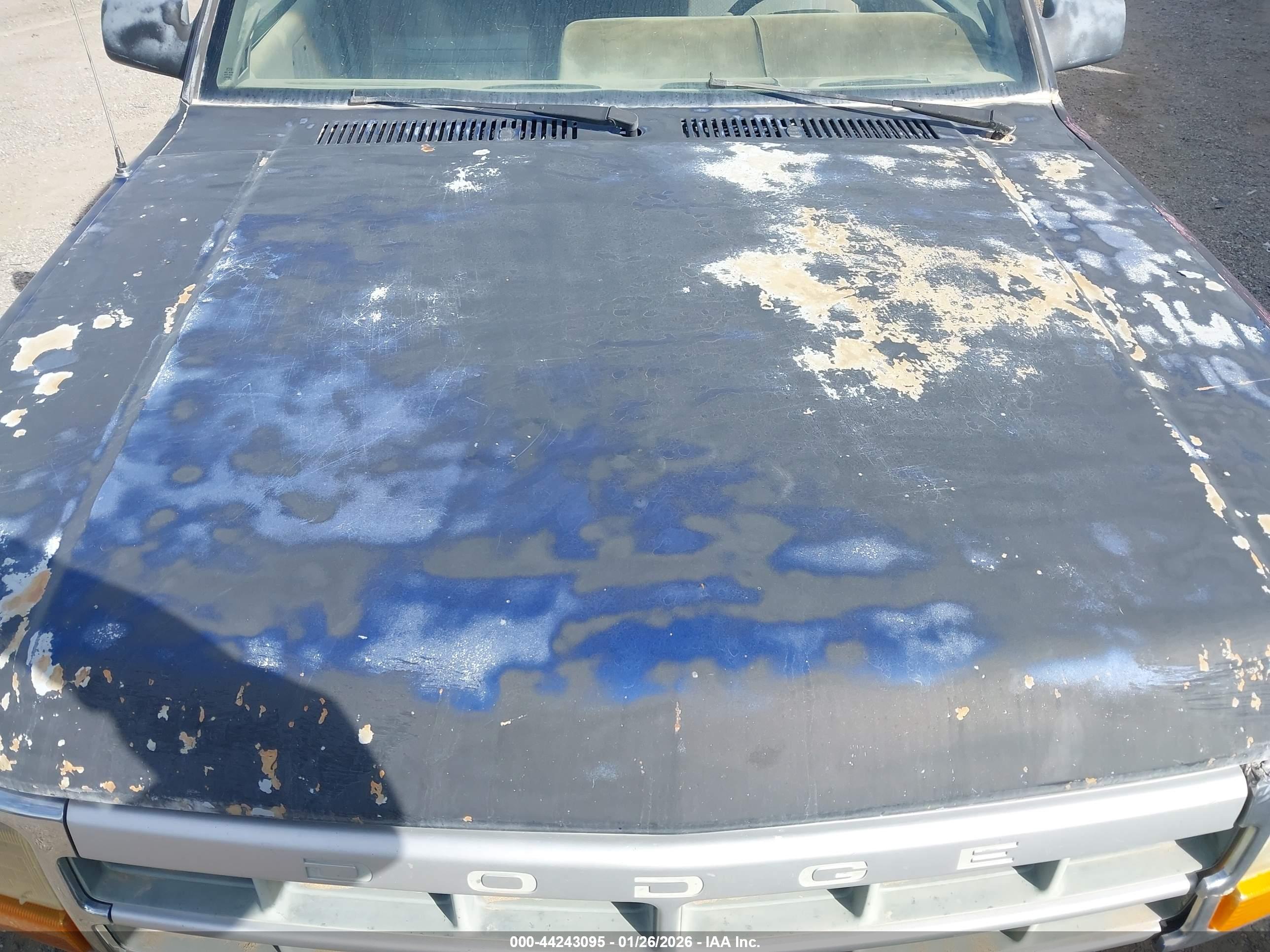 DODGE DAKOTA image 10