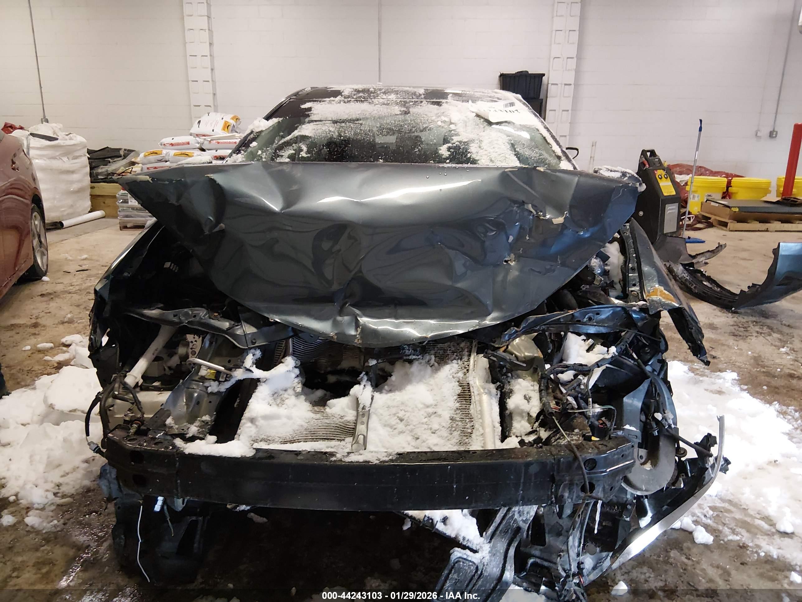 TOYOTA COROLLA image 6